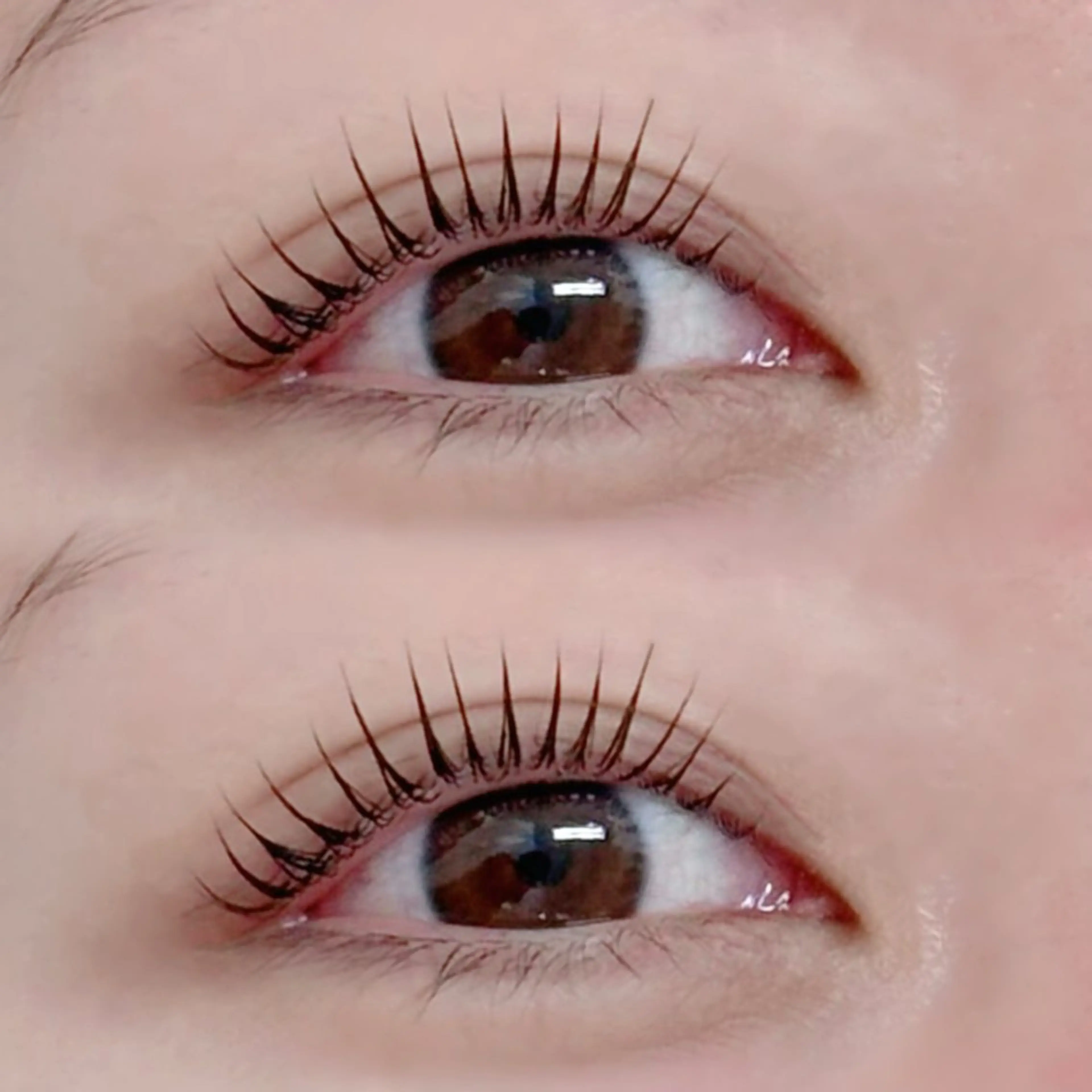 マツエク・マツパ Dカール マツパ alicetokyo 🦋宮葉🦋のマツエク・マツパデザイン