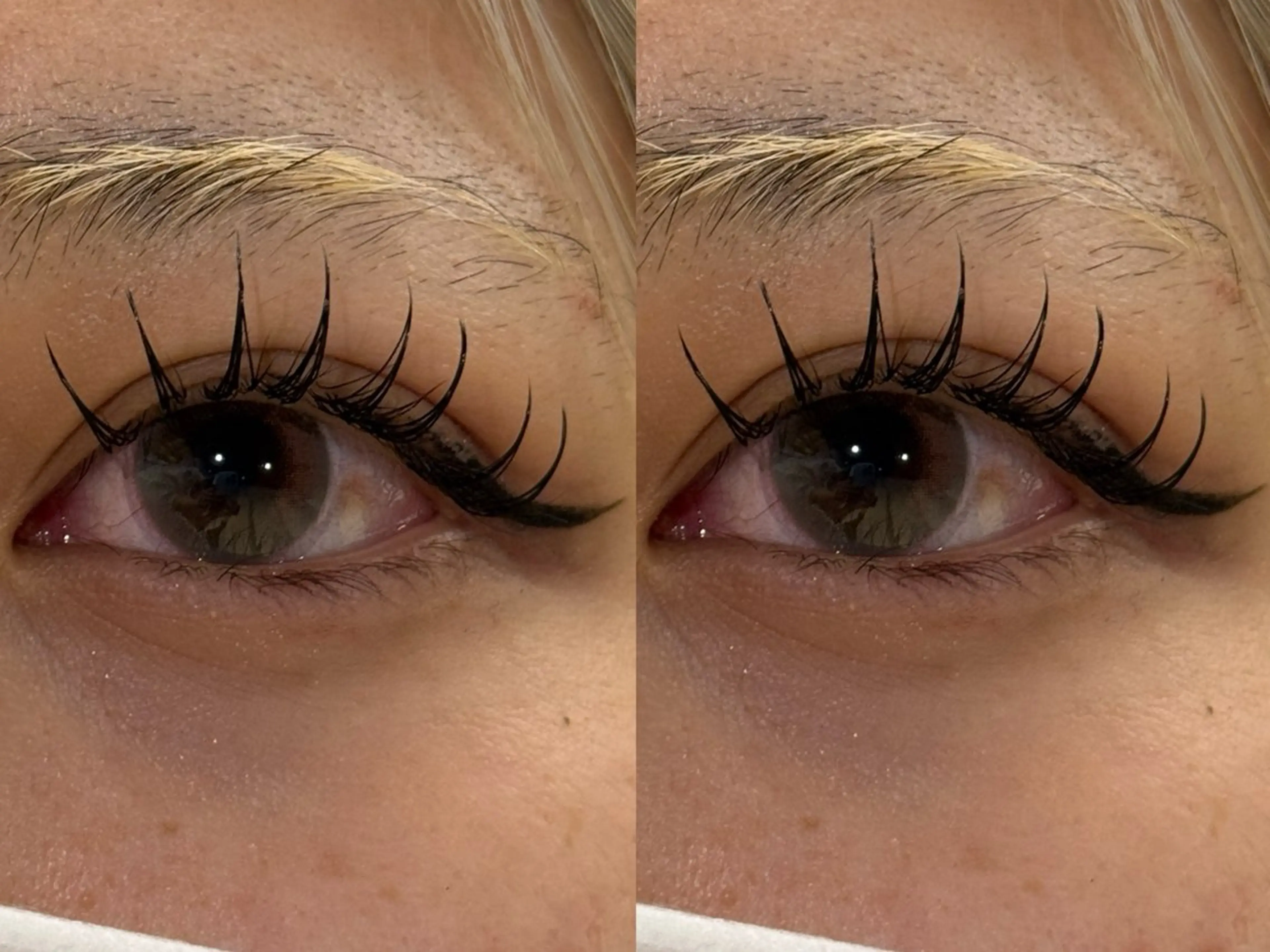 マツエク・マツパ マツエク 透明感ツヤカラー/ アイリスト/ゆきなのマツエク・マツパデザイン