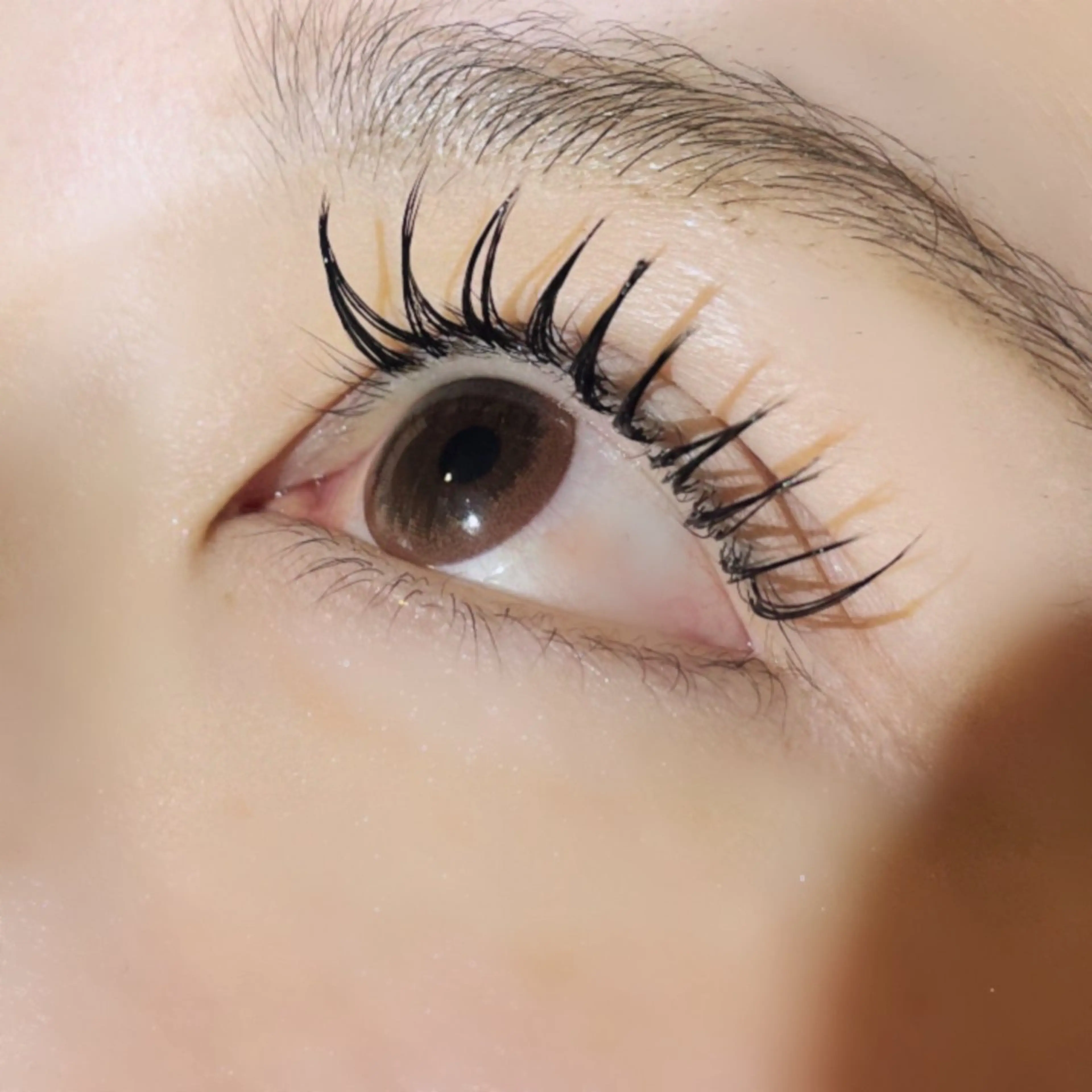 マツエク・マツパ 🌟杉枝 佑夏🌟のマツエク・マツパデザイン