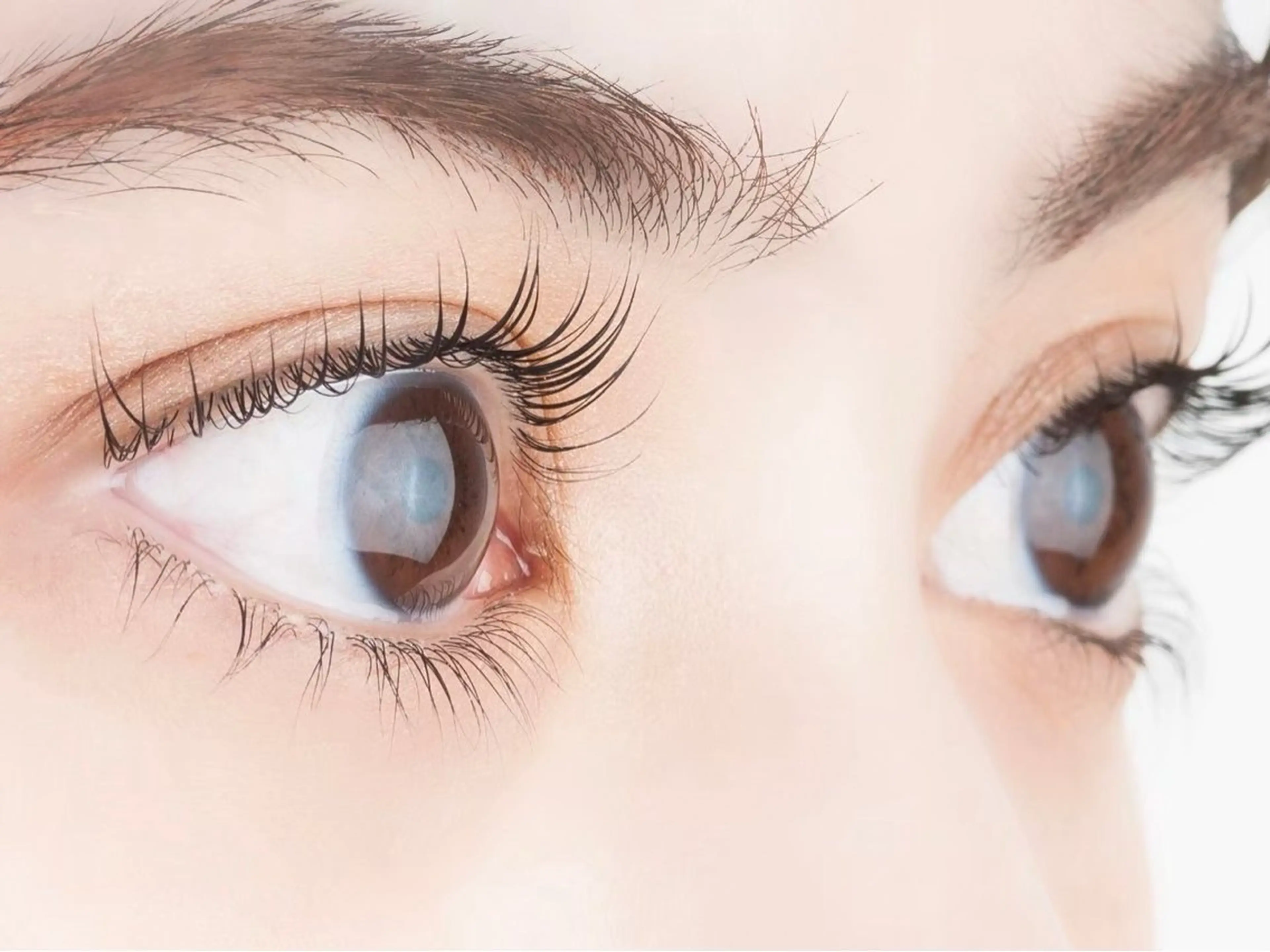 マツエク・マツパ EYELA 山中の眉毛・アイブロウイメージ