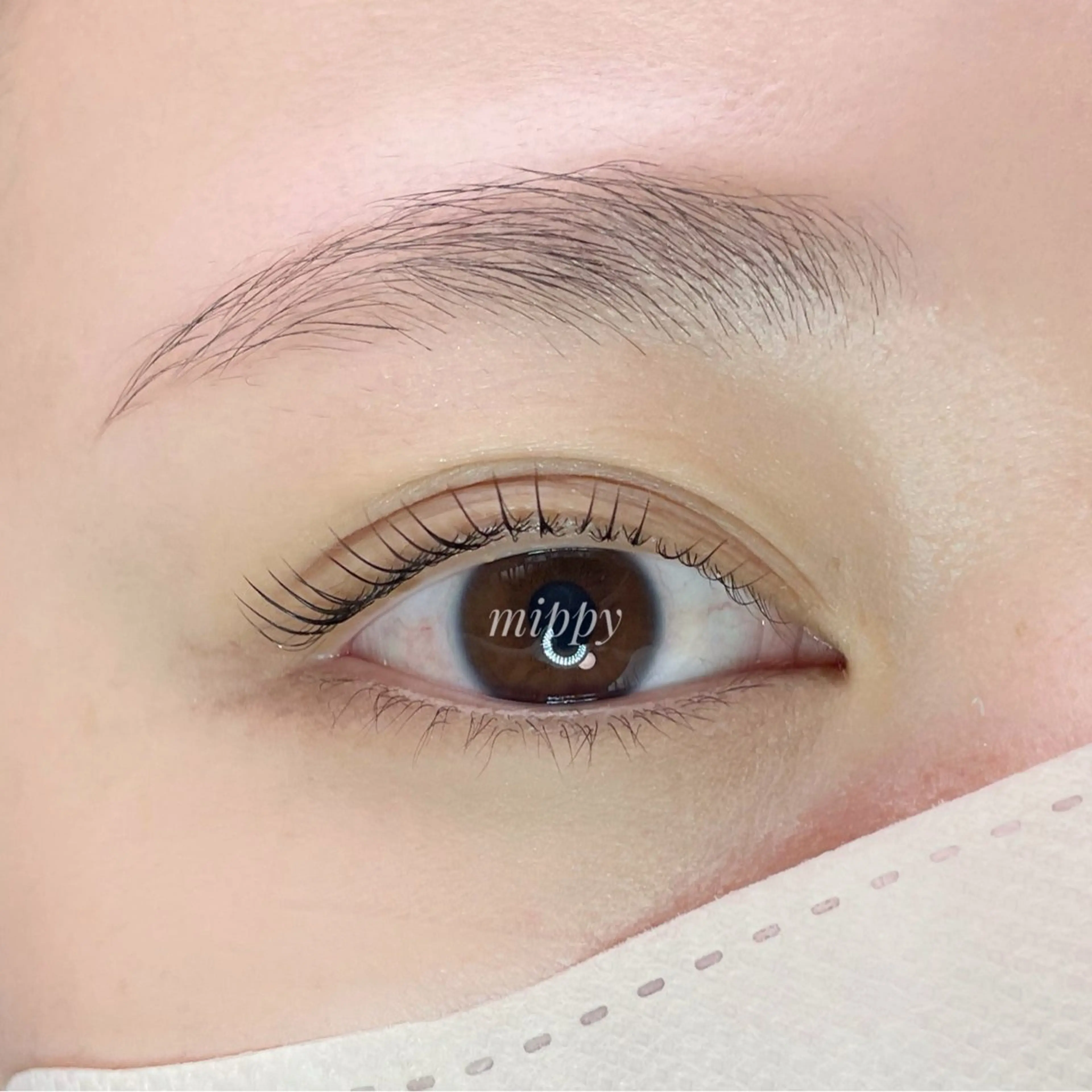 マツエク・マツパ マツパ ｍｉｐｐｙ 🪽のマツエク・マツパデザイン