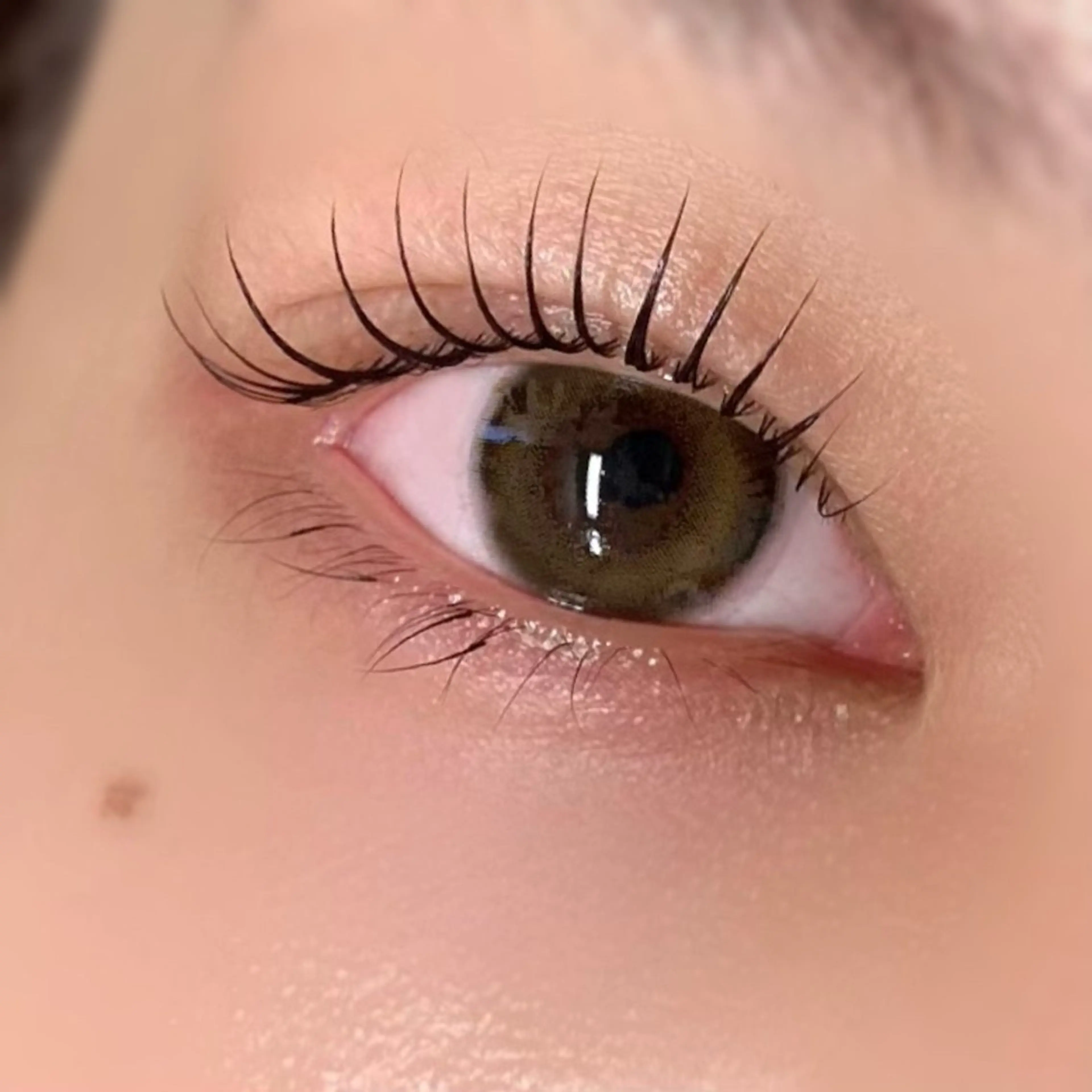 【3回目からはこちら】ケラチンラッシュリフト6600円⭐︎の写真