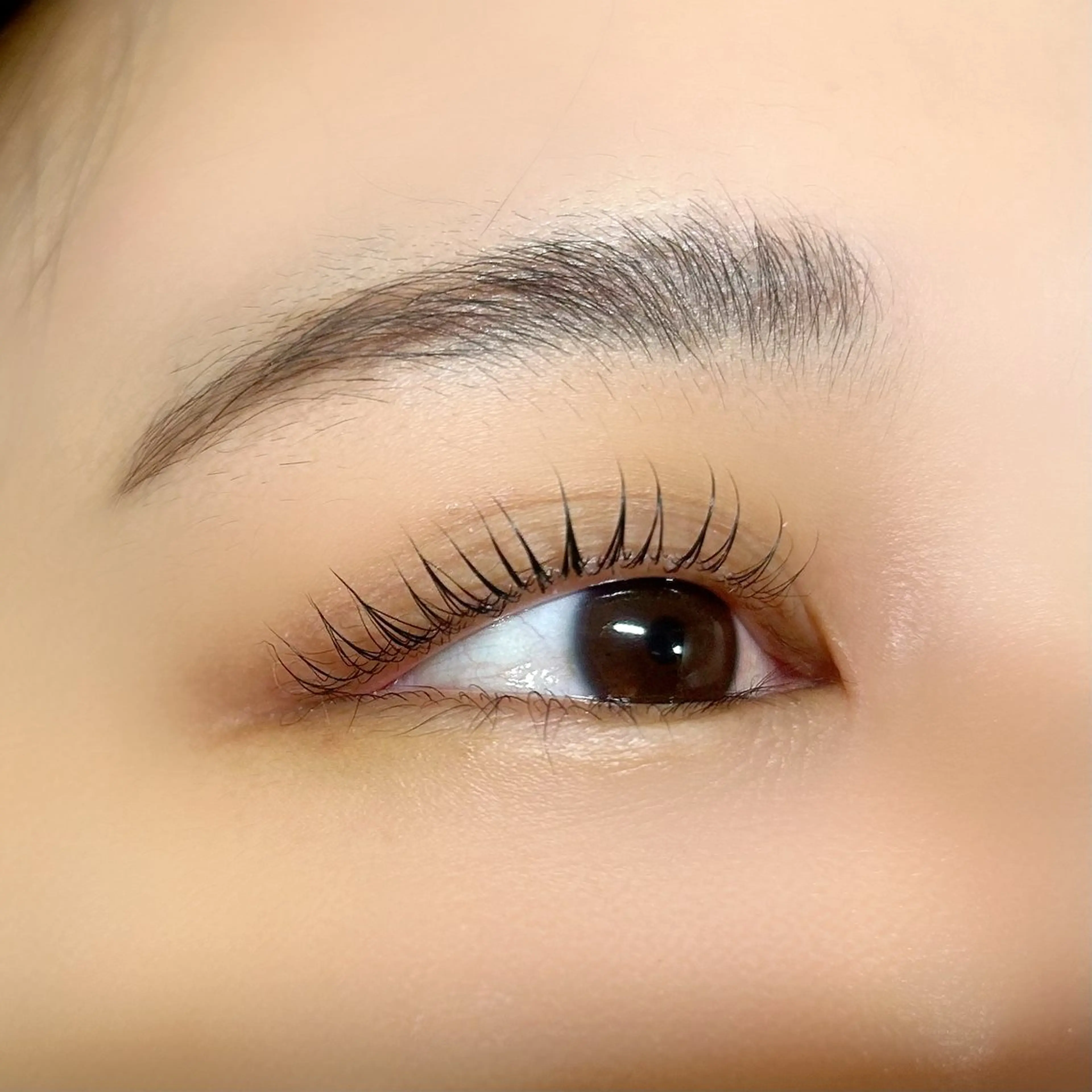 マツエク・マツパ 🌸アイリスト fujiwara🌸のマツエク・マツパデザイン