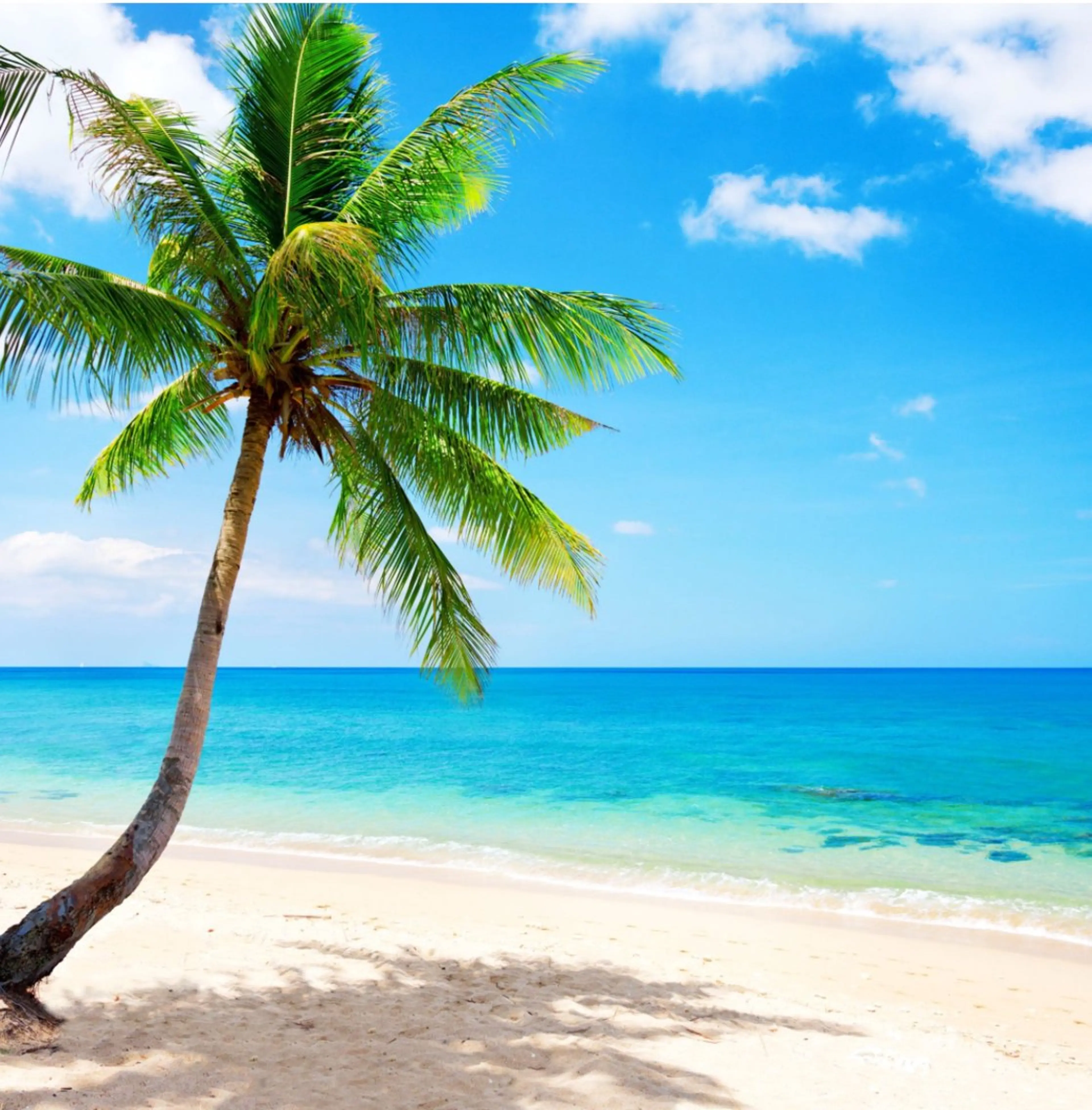 ◇至福炭酸ドライヘッドスパ 90分の写真