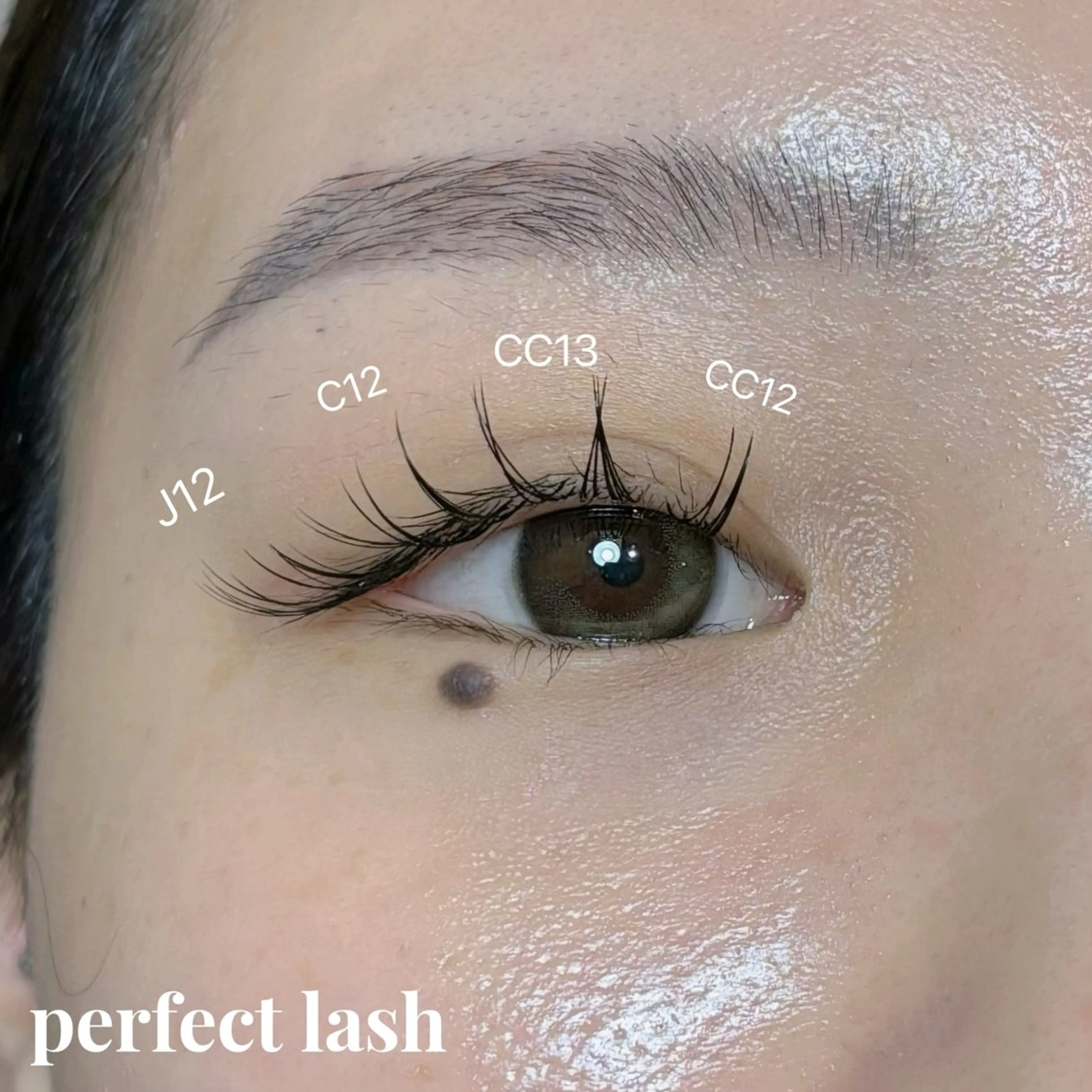 🫧パーフェクトラッシュ60束🫧の写真