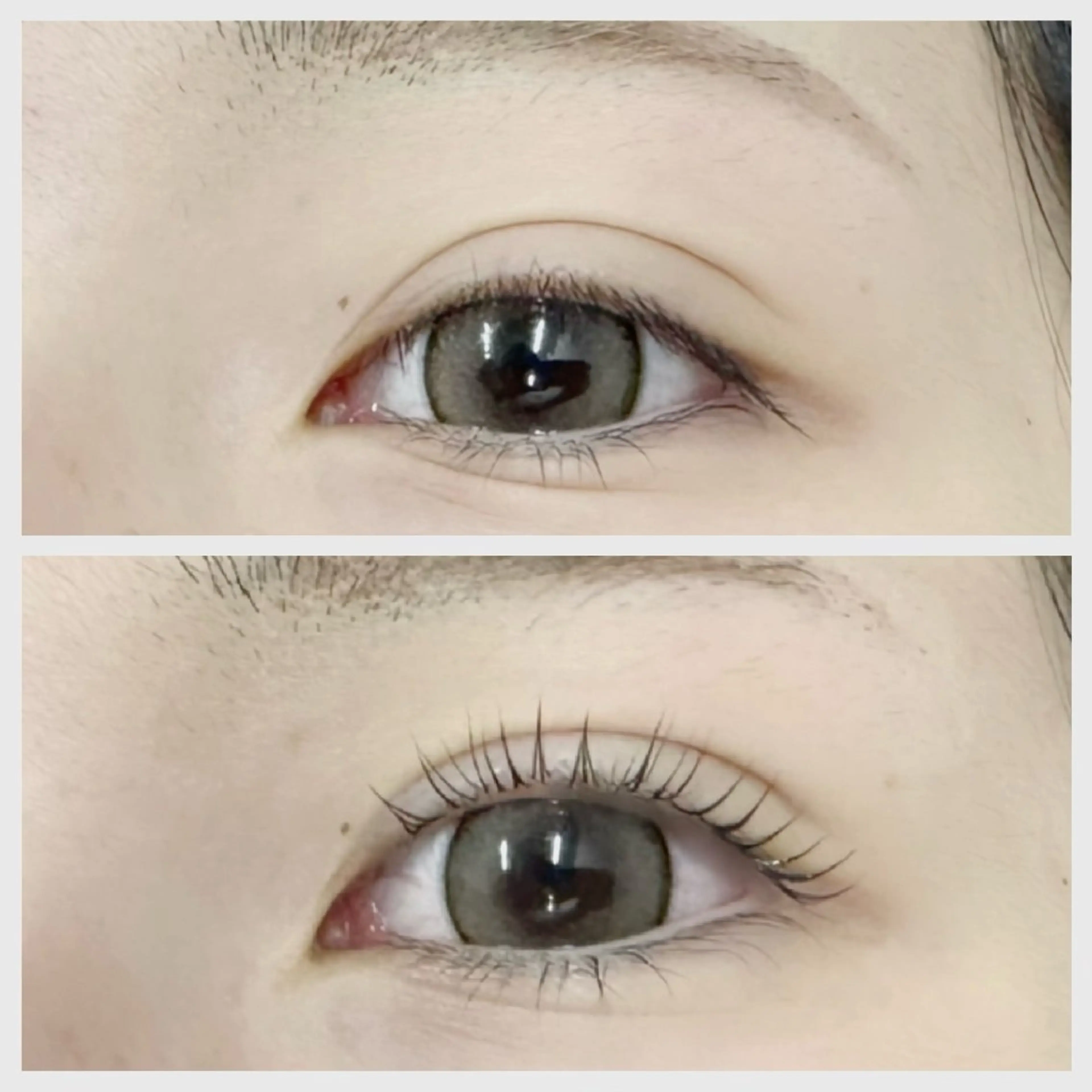 マツエク・マツパ マツパ edge eye 梅田🪽の眉毛・アイブロウイメージ