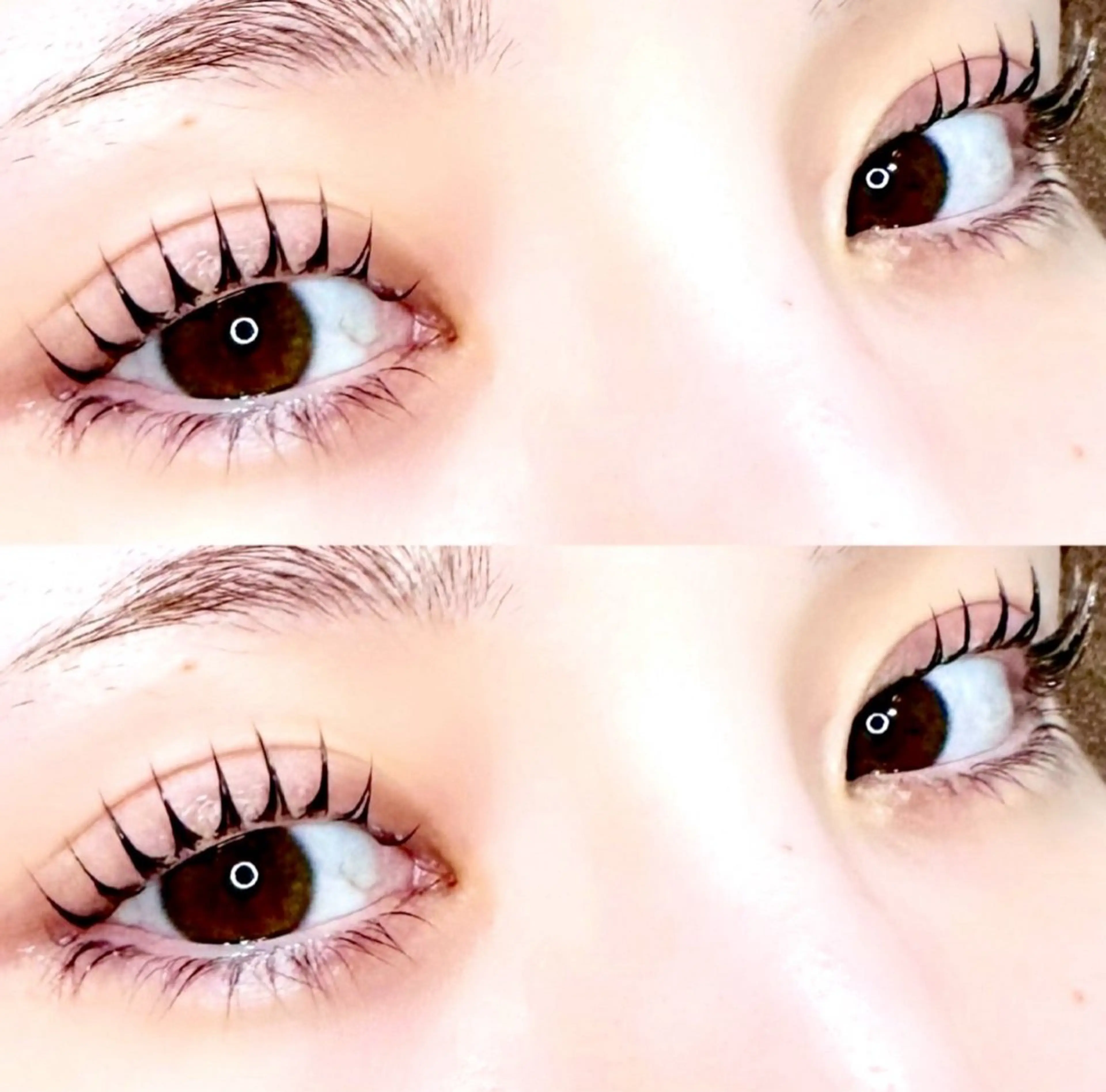 マツエク・マツパ マツパ 🦖fein. YUINA🦕⋆͛のマツエク・マツパデザイン