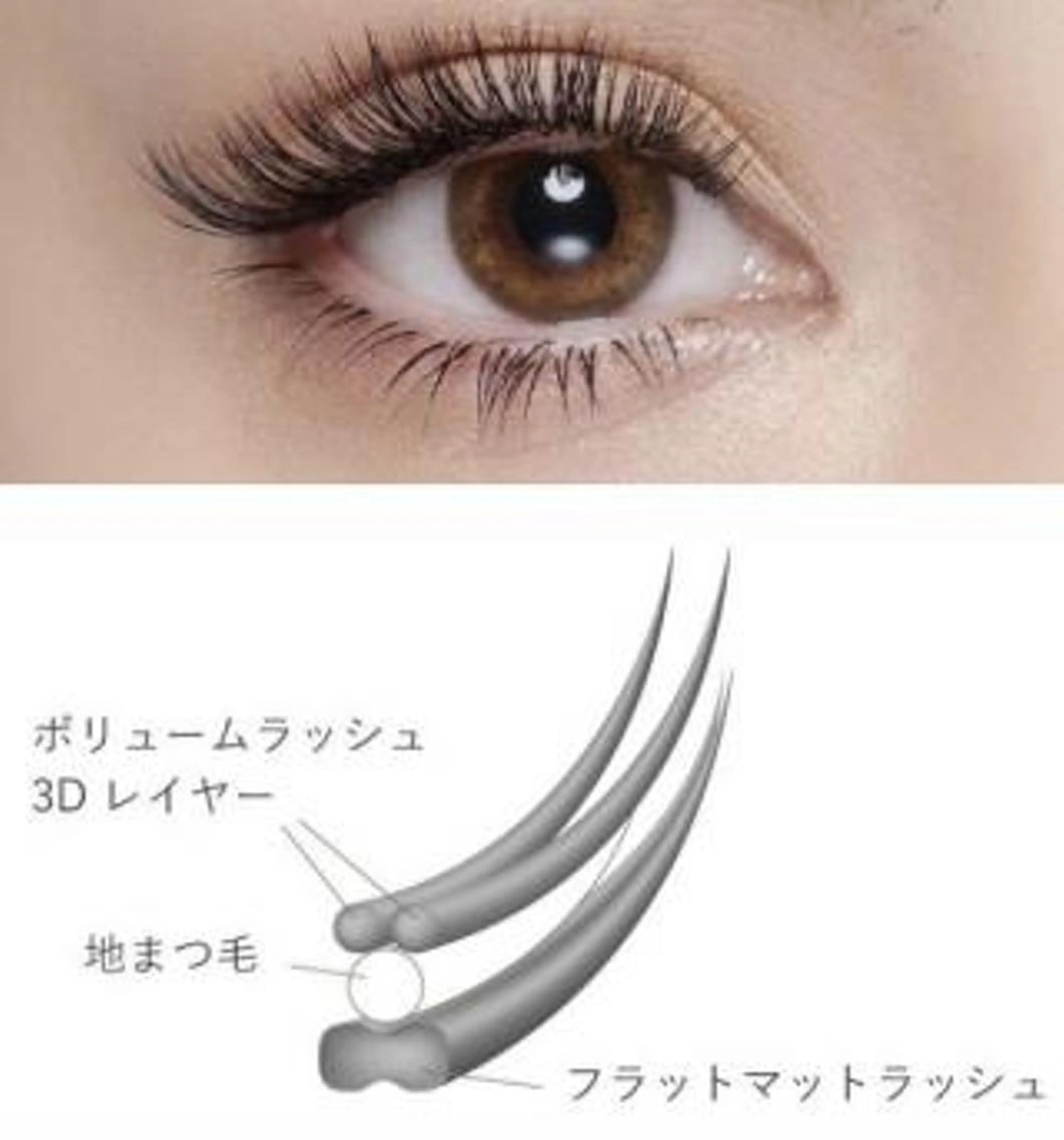 マツエク・マツパ Bunnyeyes 宮西のマツエク・マツパデザイン