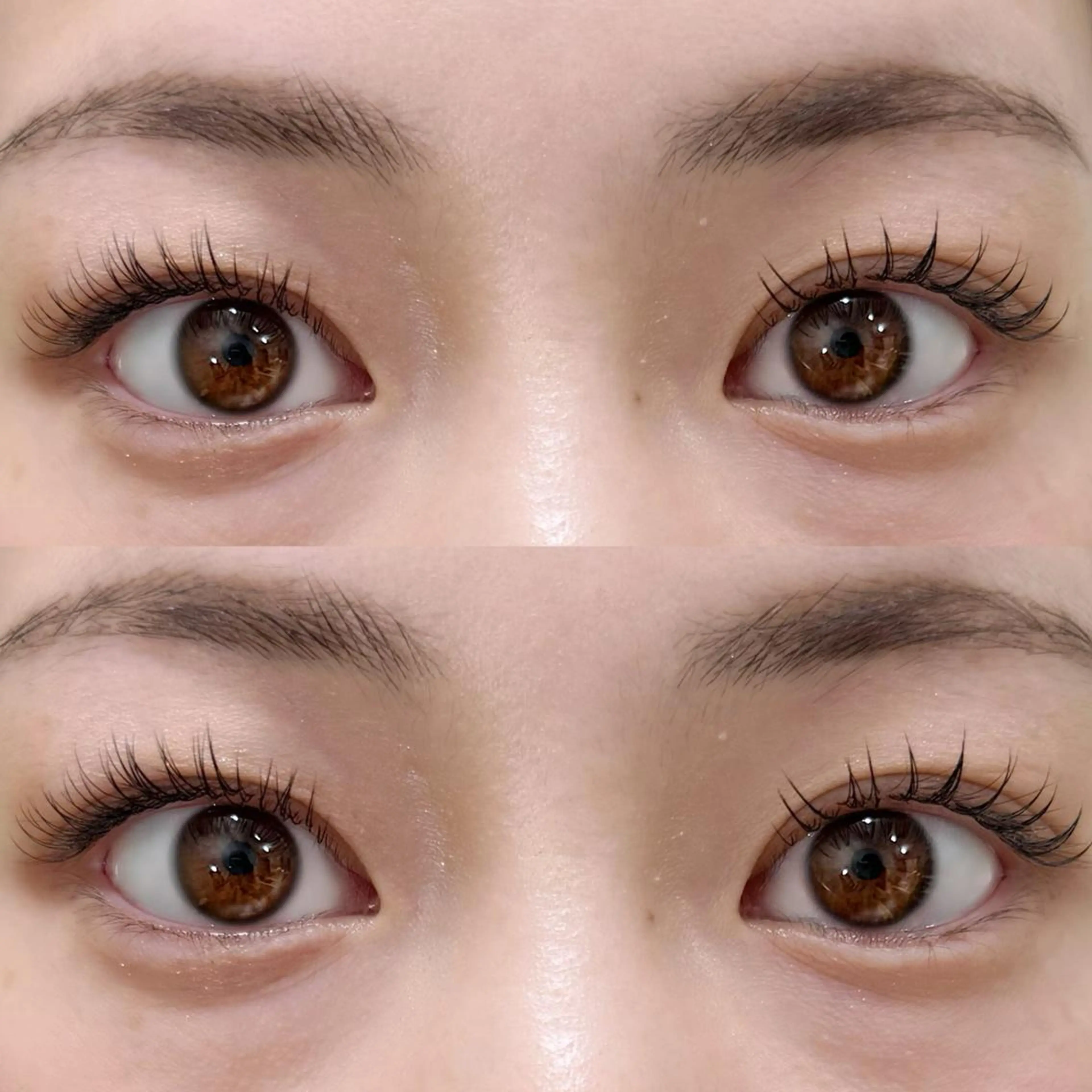 マツエク・マツパ フラットラッシュ マツエク Lesherima レシェリマスクールのマツエク・マツパデザイン