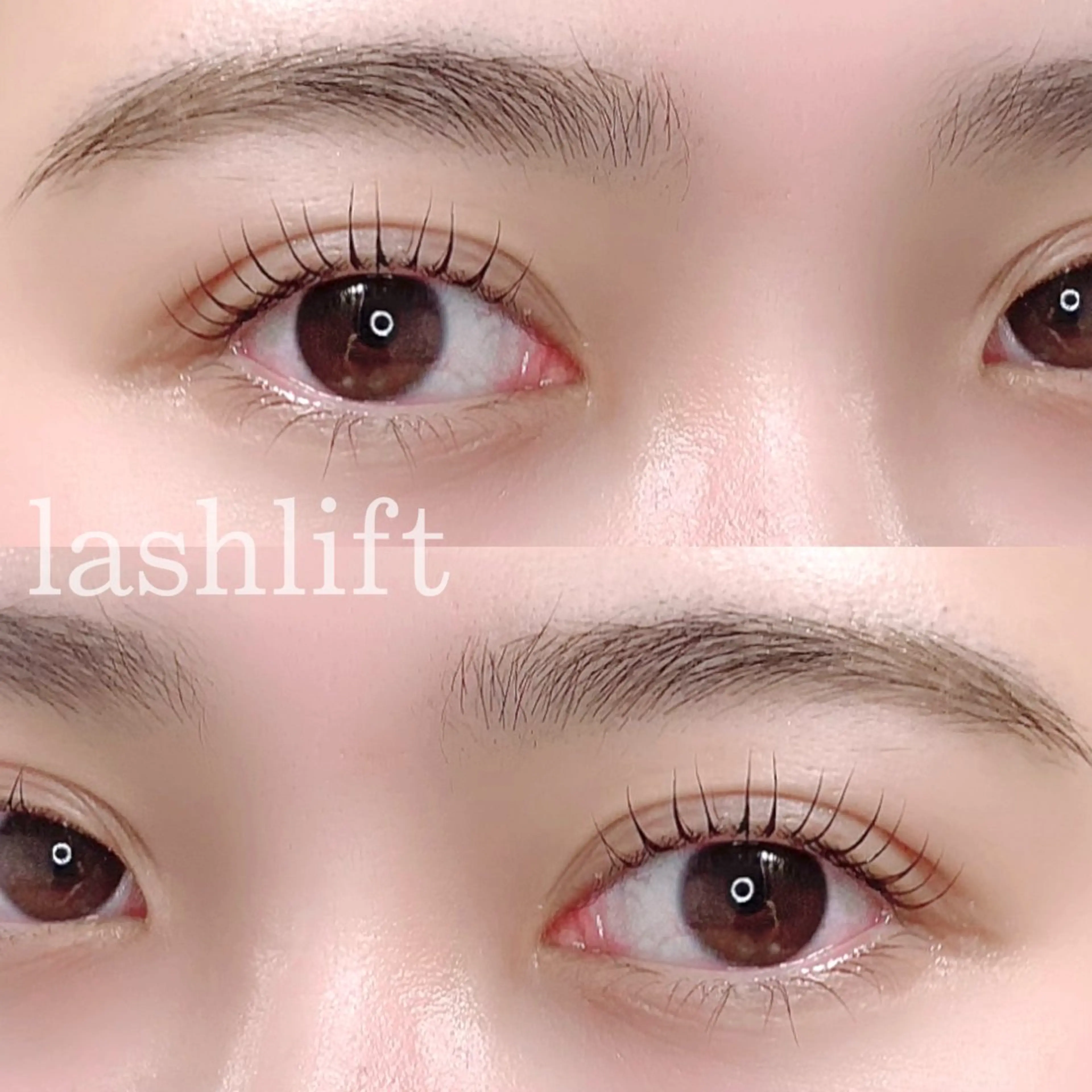 マツエク・マツパ eyelash "Koa"🕊🤎のマツエク・マツパデザイン