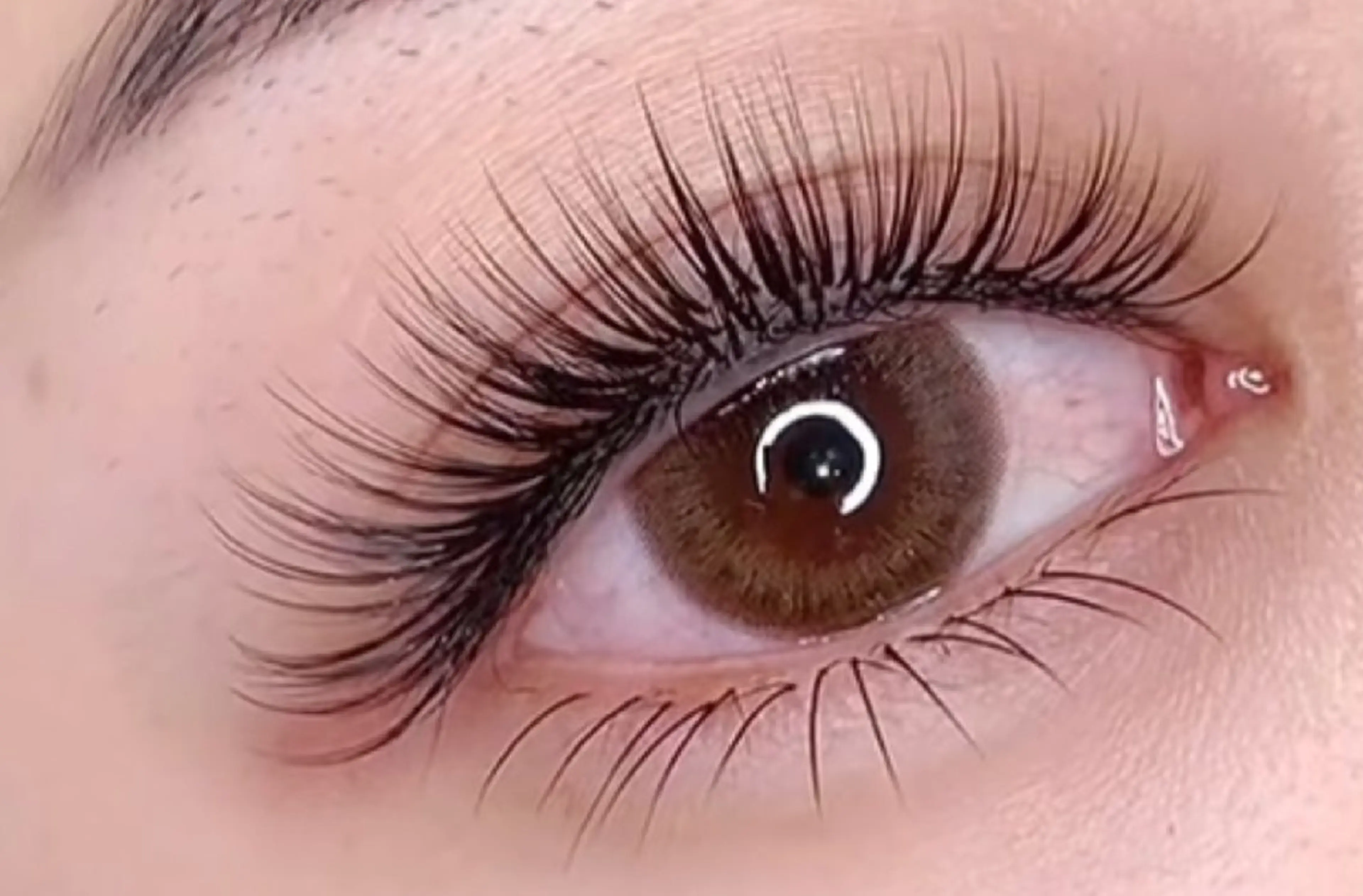 束感ボリュームラッシュ、100束、LED 新規お客様限定、オフ込みの写真