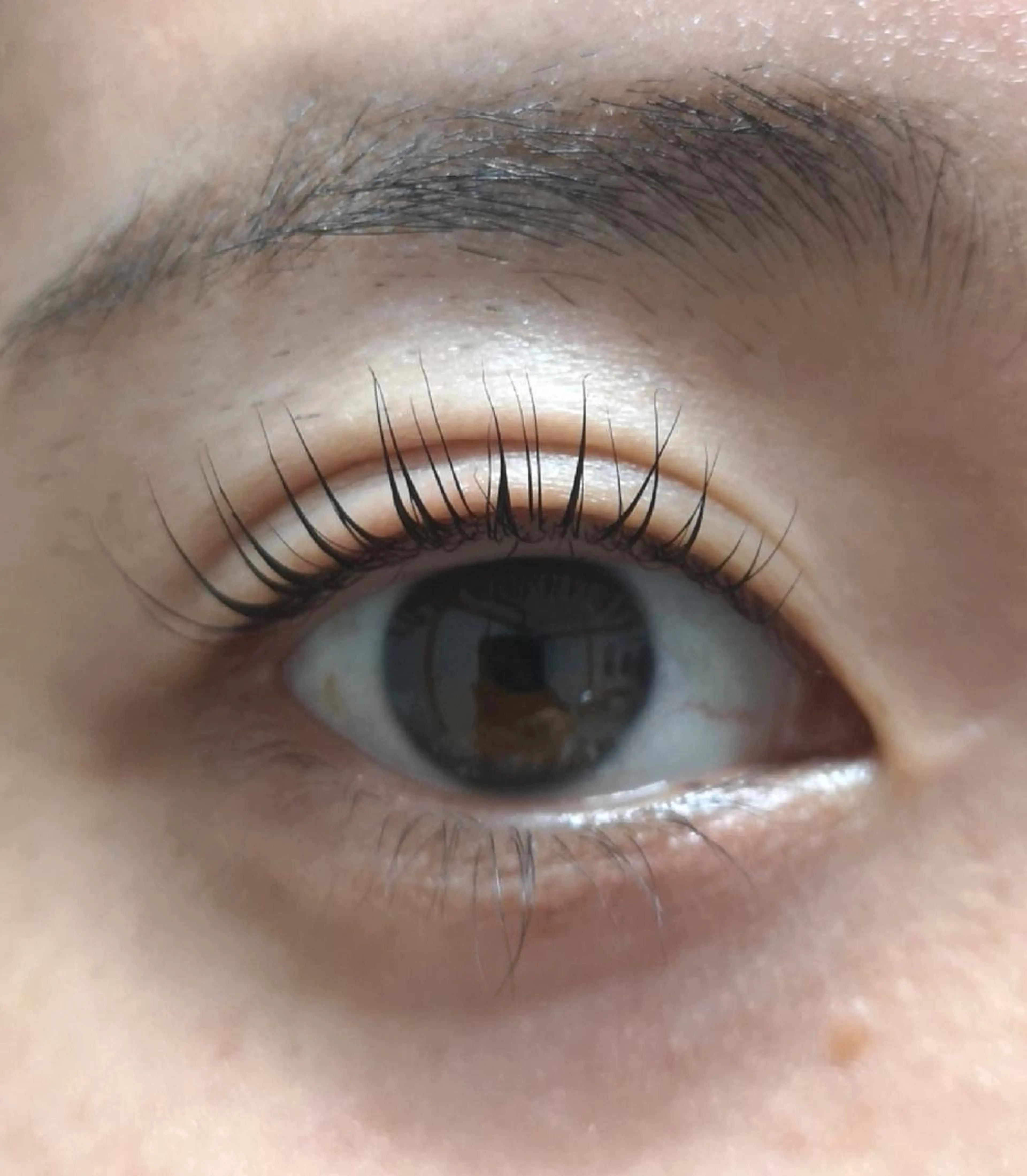 ☆パリジェンヌラッシュリフト☆ ケラチントリートメント付き(施術時間:60分前後)の写真