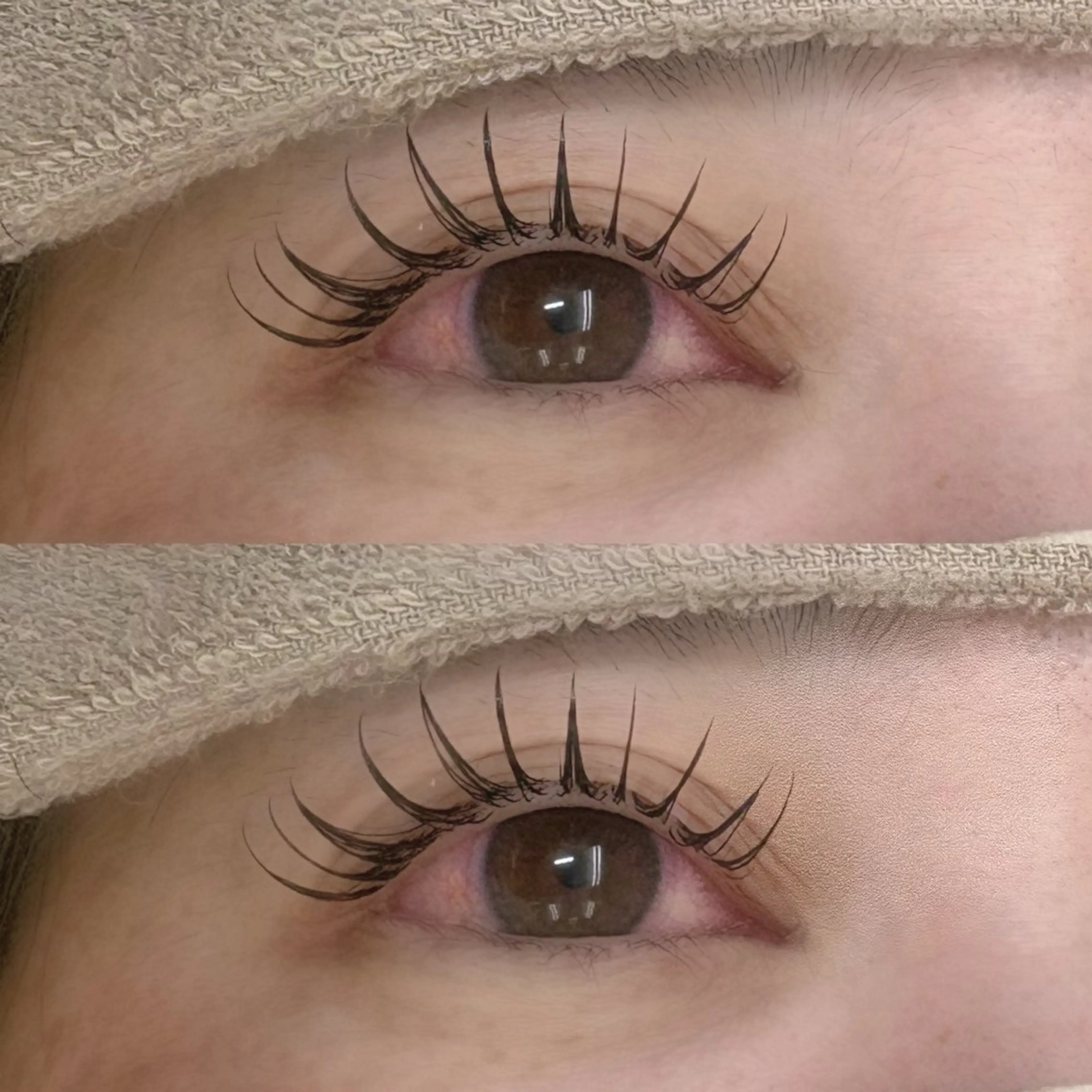 マツエク・マツパ 付け放題 束感まつ毛 フラットラッシュ VTGeyelash 菅家の眉毛・アイブロウイメージ