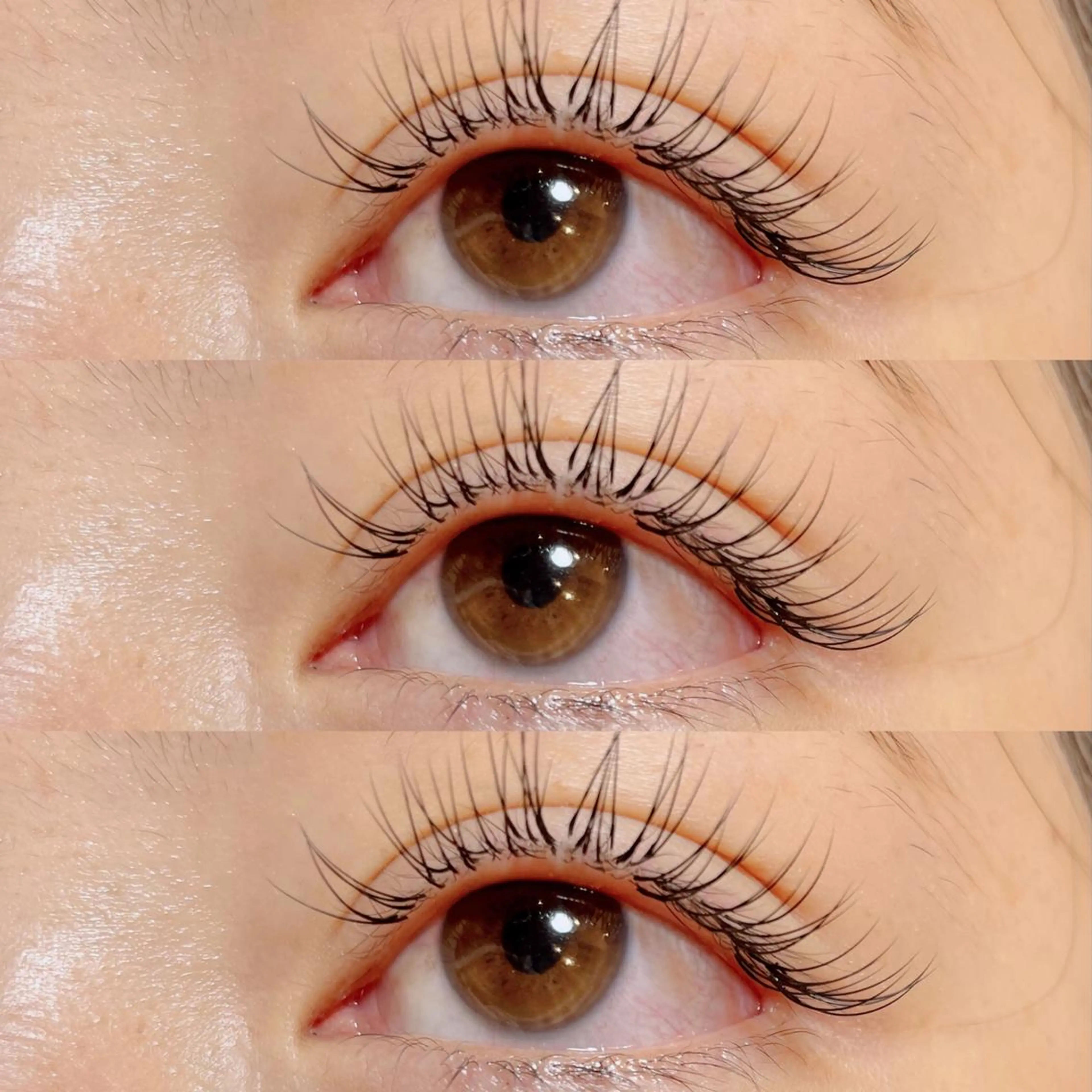 マツエク・マツパ Cカール ゴージャス 玉木 愛の眉毛・アイブロウイメージ