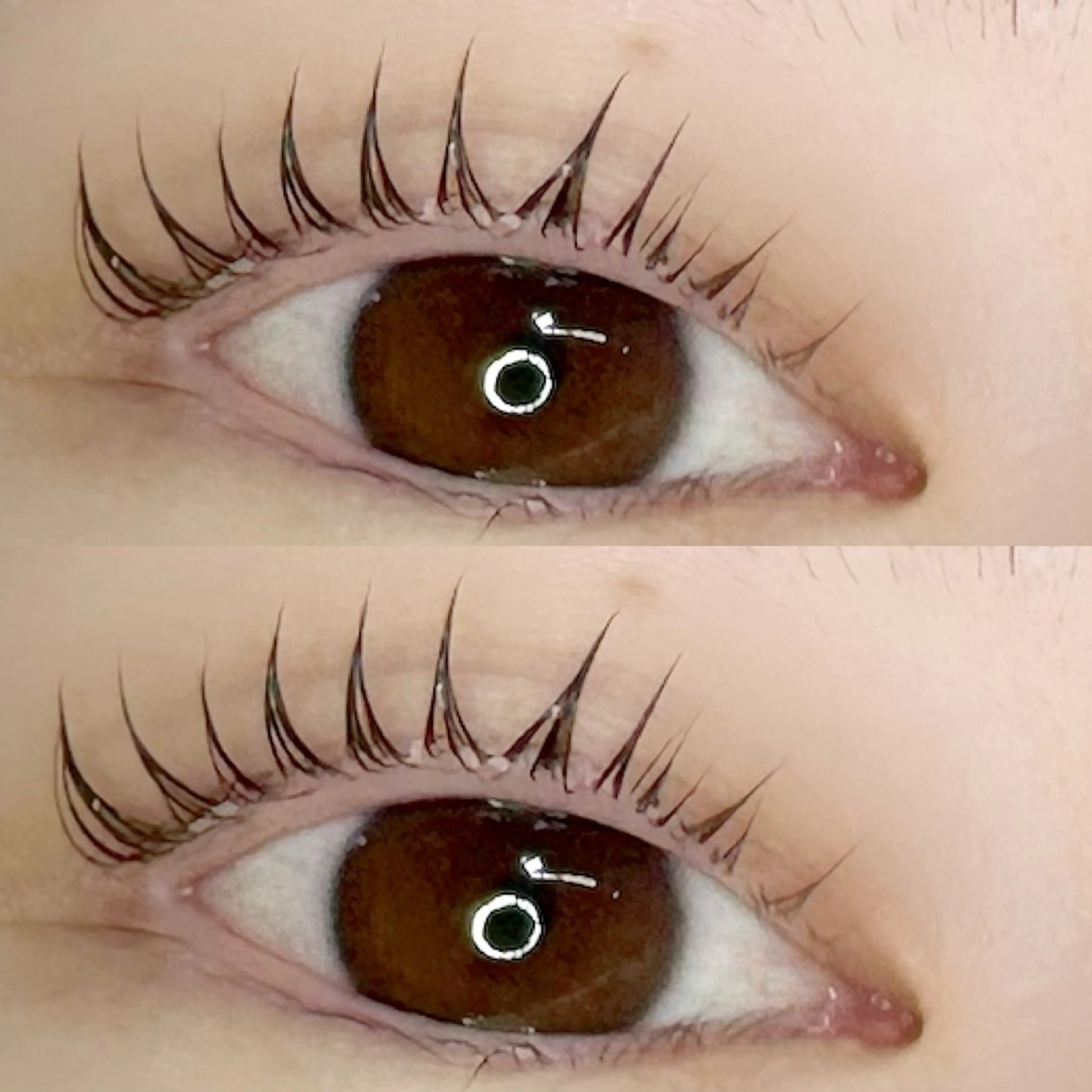 ⭐️パーマ上下セット⭐️パリジェンヌラッシュリフト上下セット 熊谷の写真