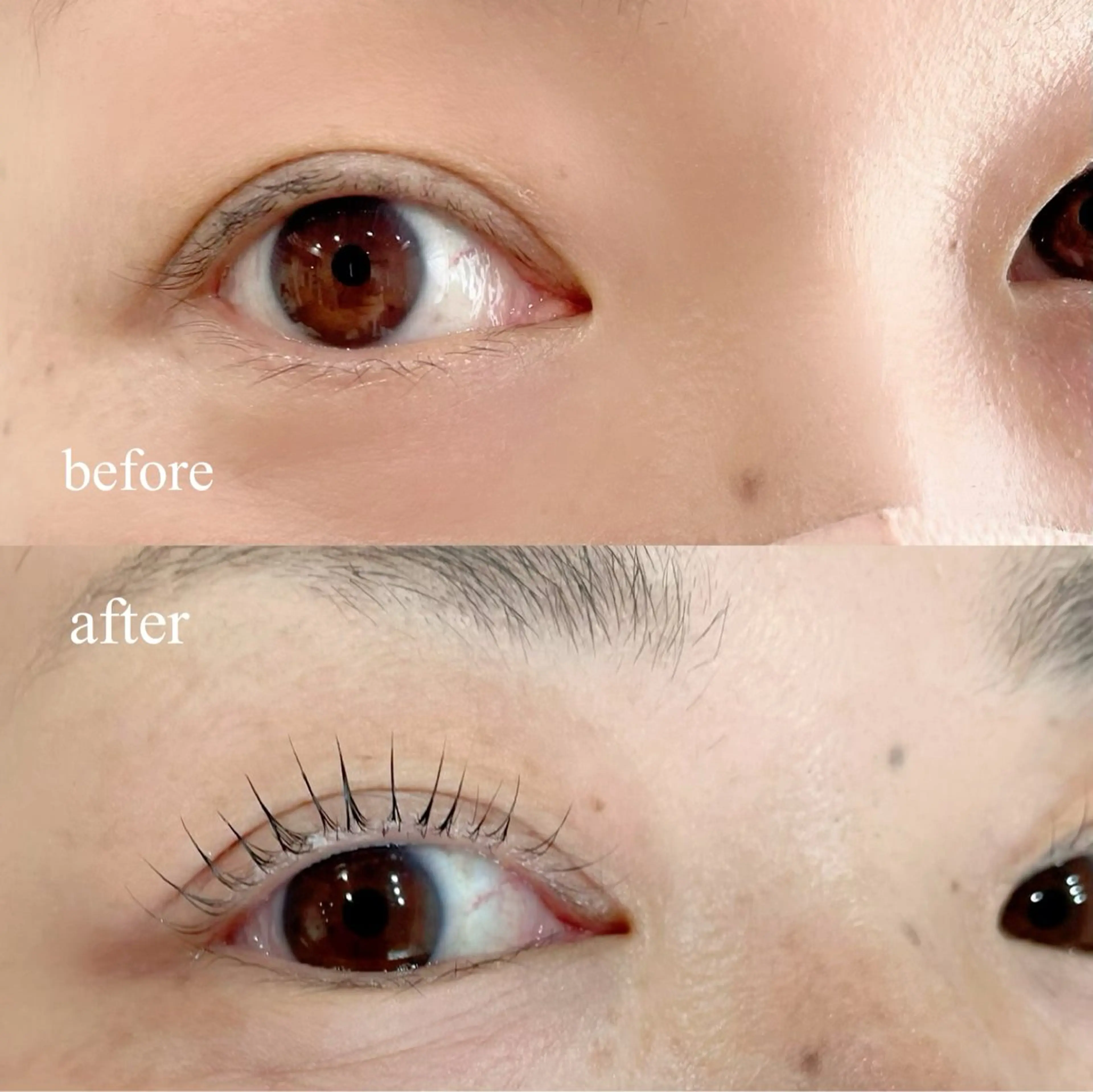 マツエク・マツパ Ne'mophila.eye salon所属・岩元 みゆきのマツエク・マツパデザイン