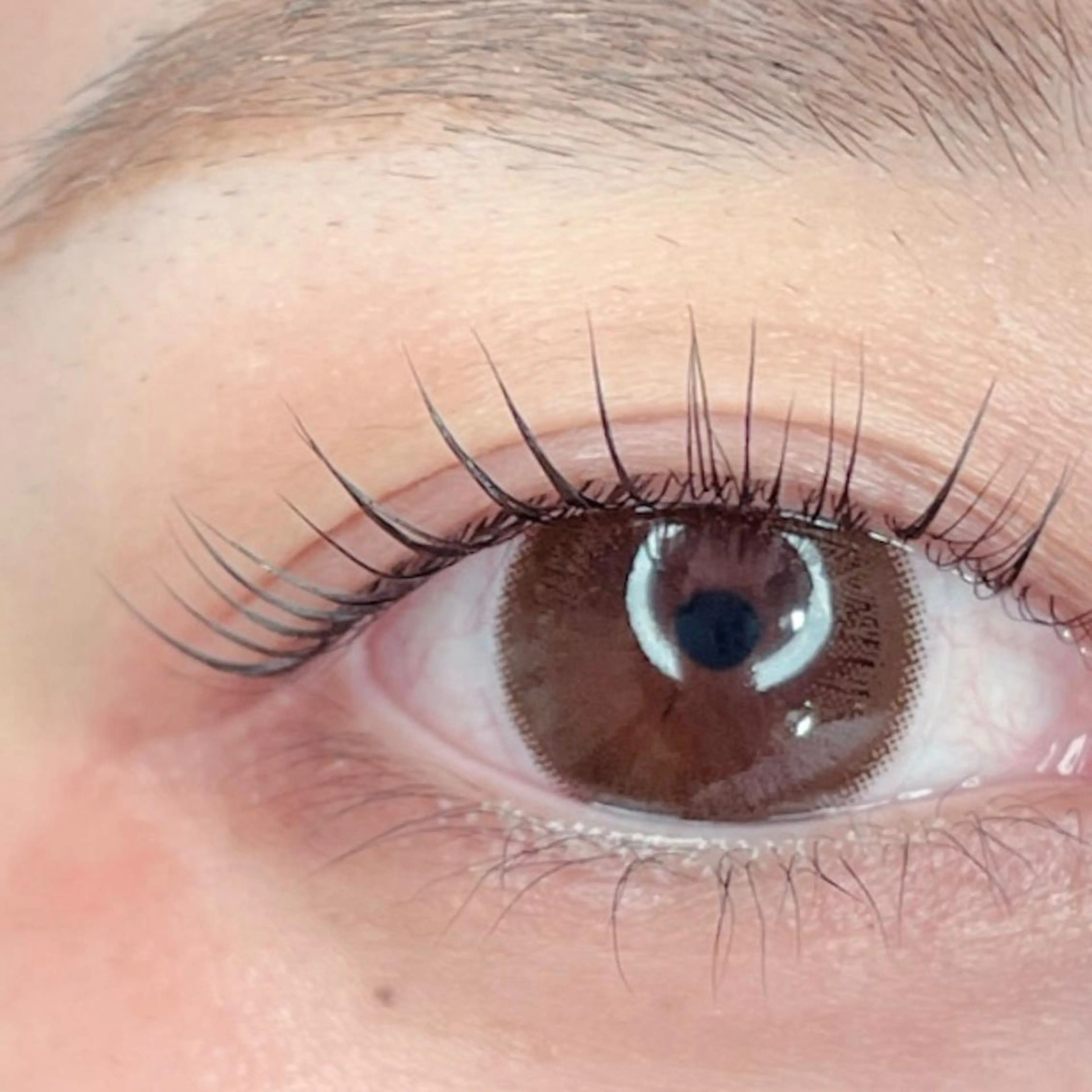 マツエク・マツパ パリジェンヌラッシュリフト HEROINE   eyelash &eyebrow所属・堀田 寛子の眉毛・アイブロウイメージ