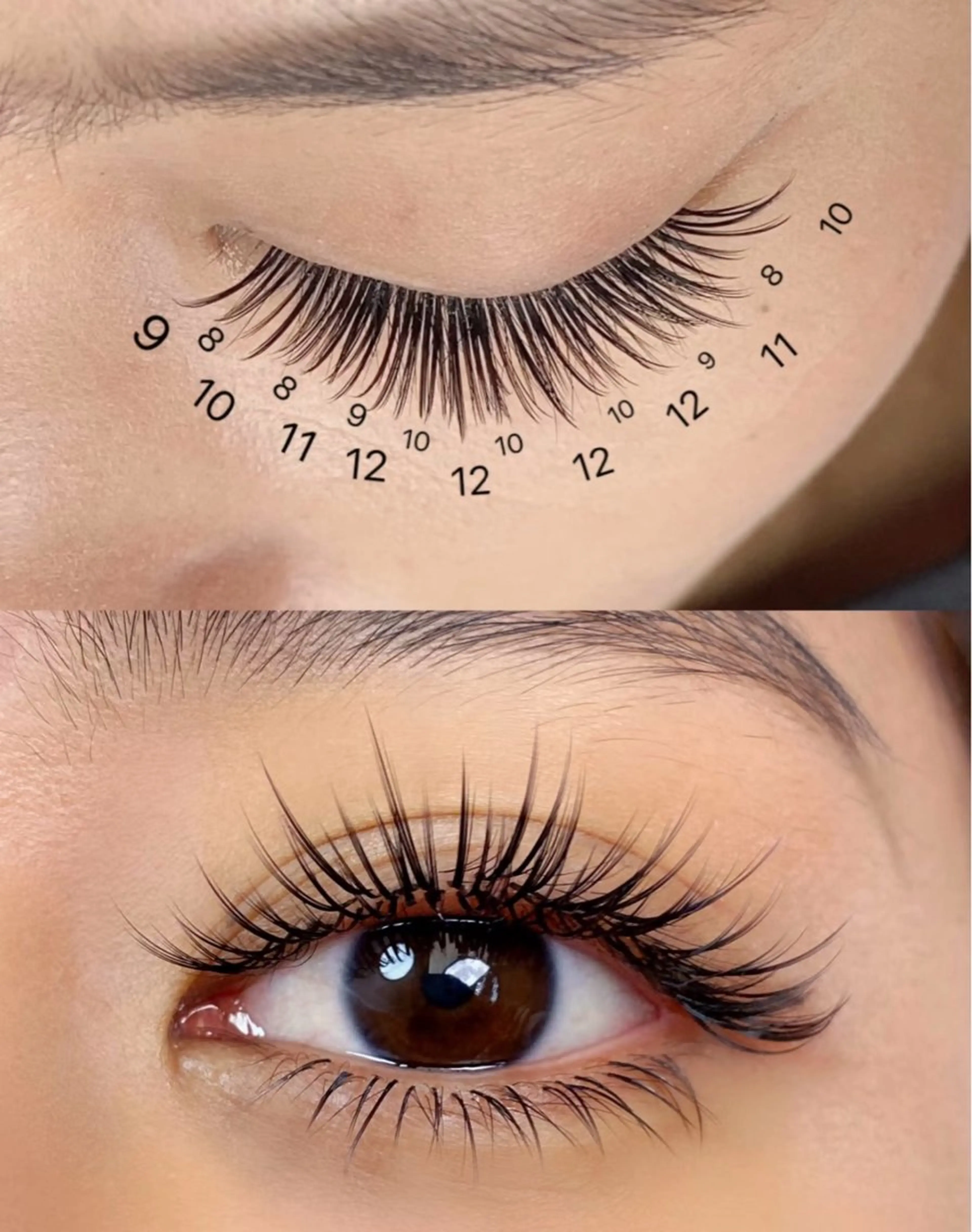 練習モデル《太陽花デザイン》150本まで 🎀 練習用メニューのため、ロコミ評価はご遠慮ください。の写真