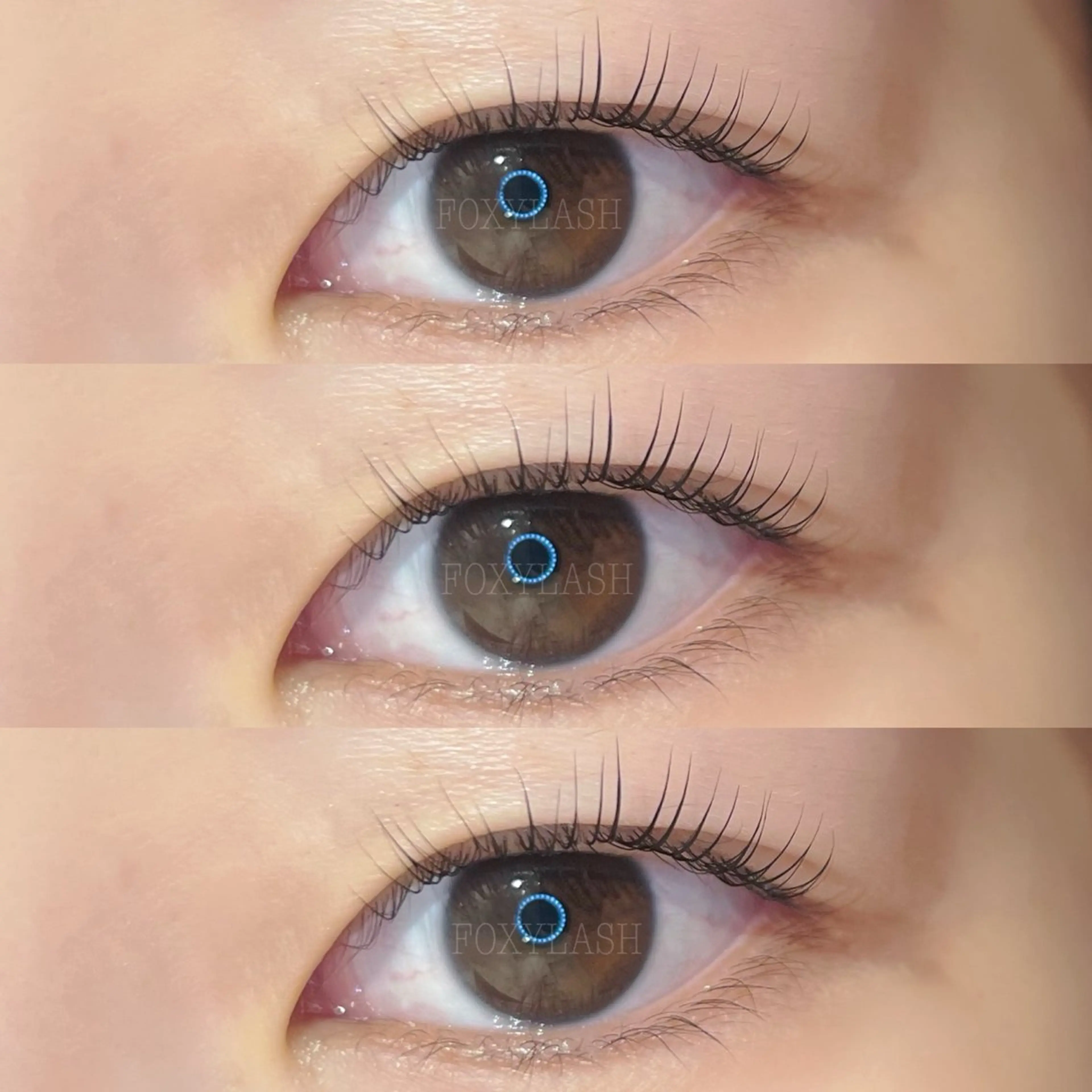 マツエク・マツパ Dカール マツパ FOXYLASH難波 kitamuraのマツエク・マツパデザイン