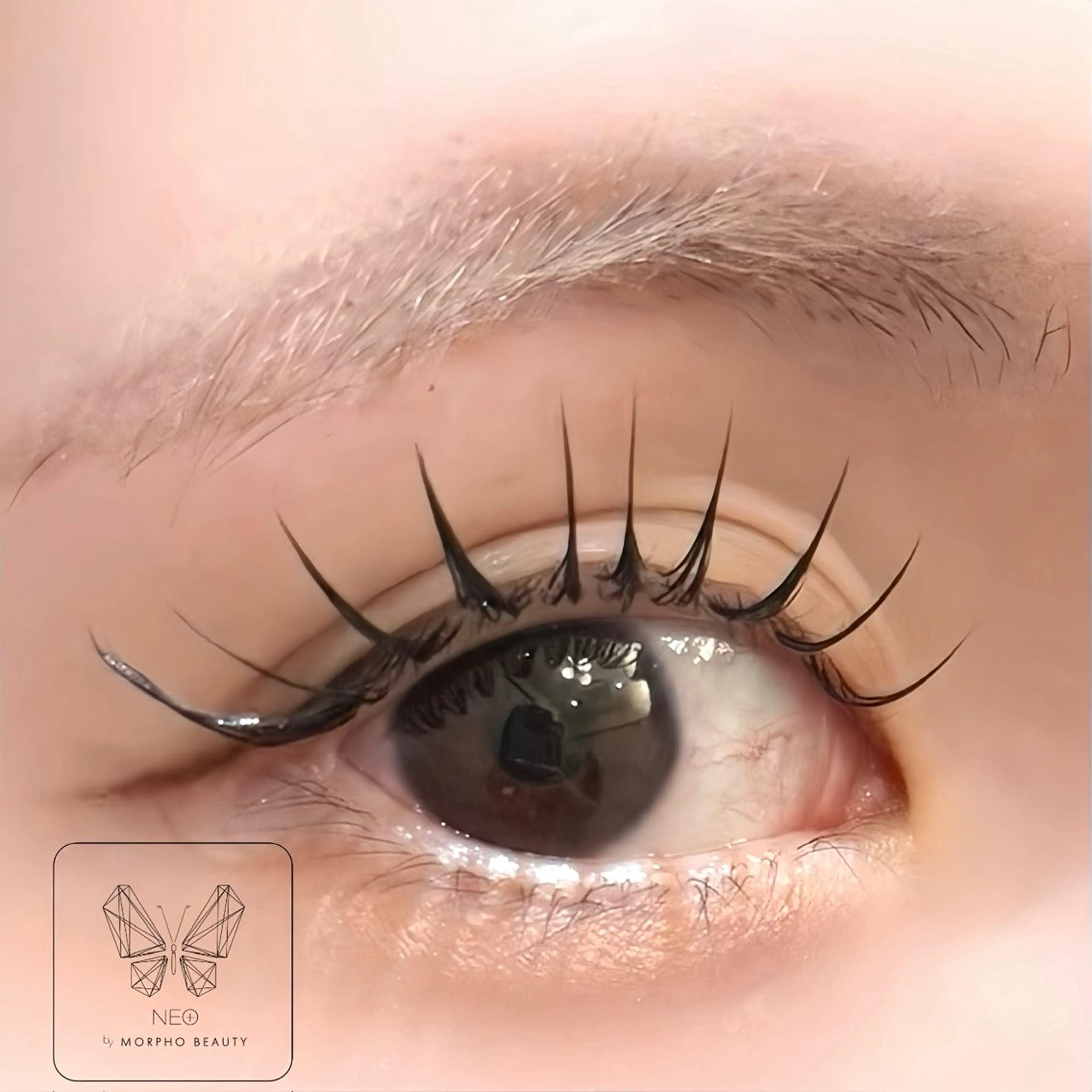 マツエク・マツパ 江川 陽利のマツエク・マツパデザイン