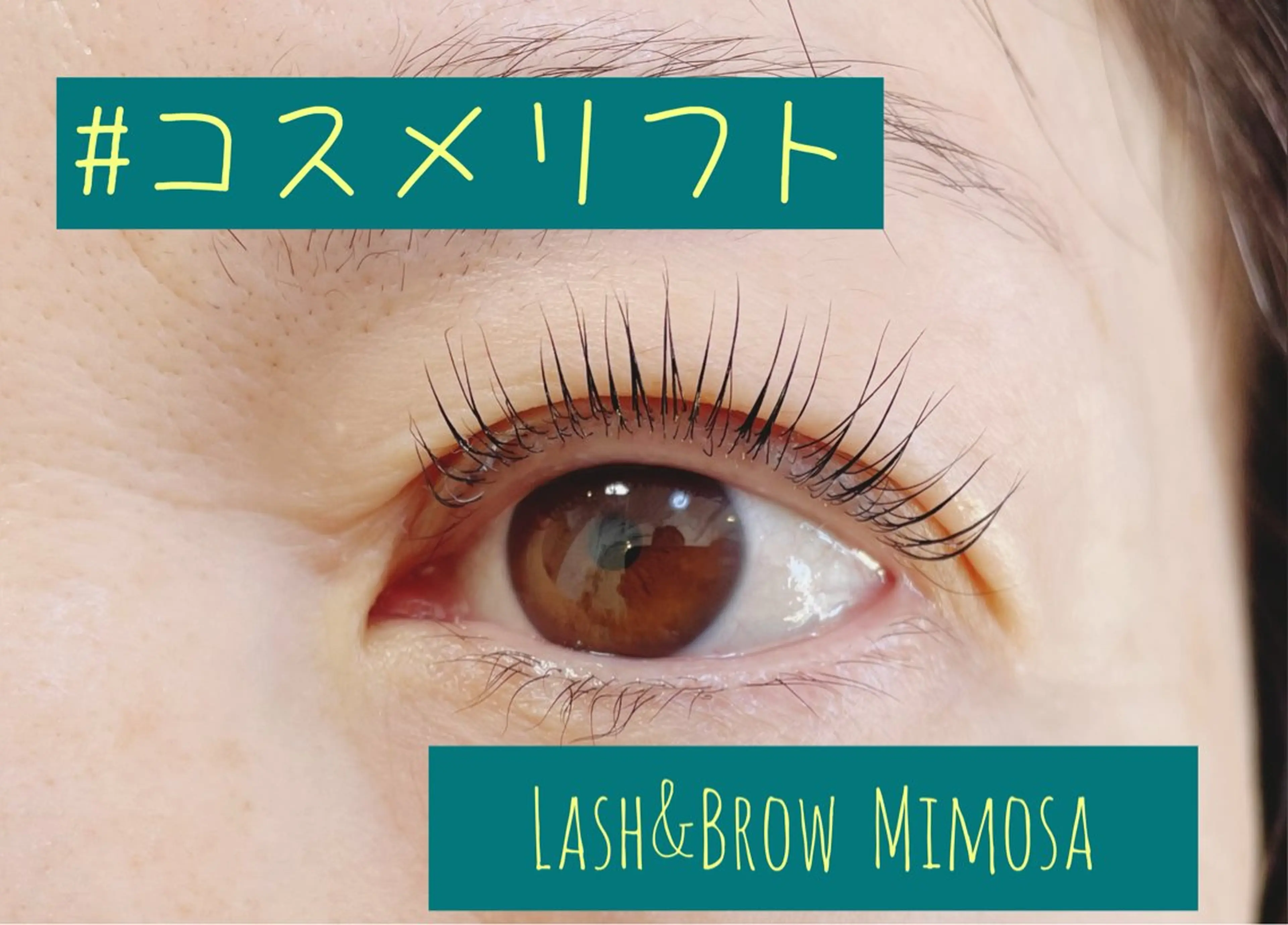 マツエク・マツパ Lash&Brow Mimosaのマツエク・マツパデザイン