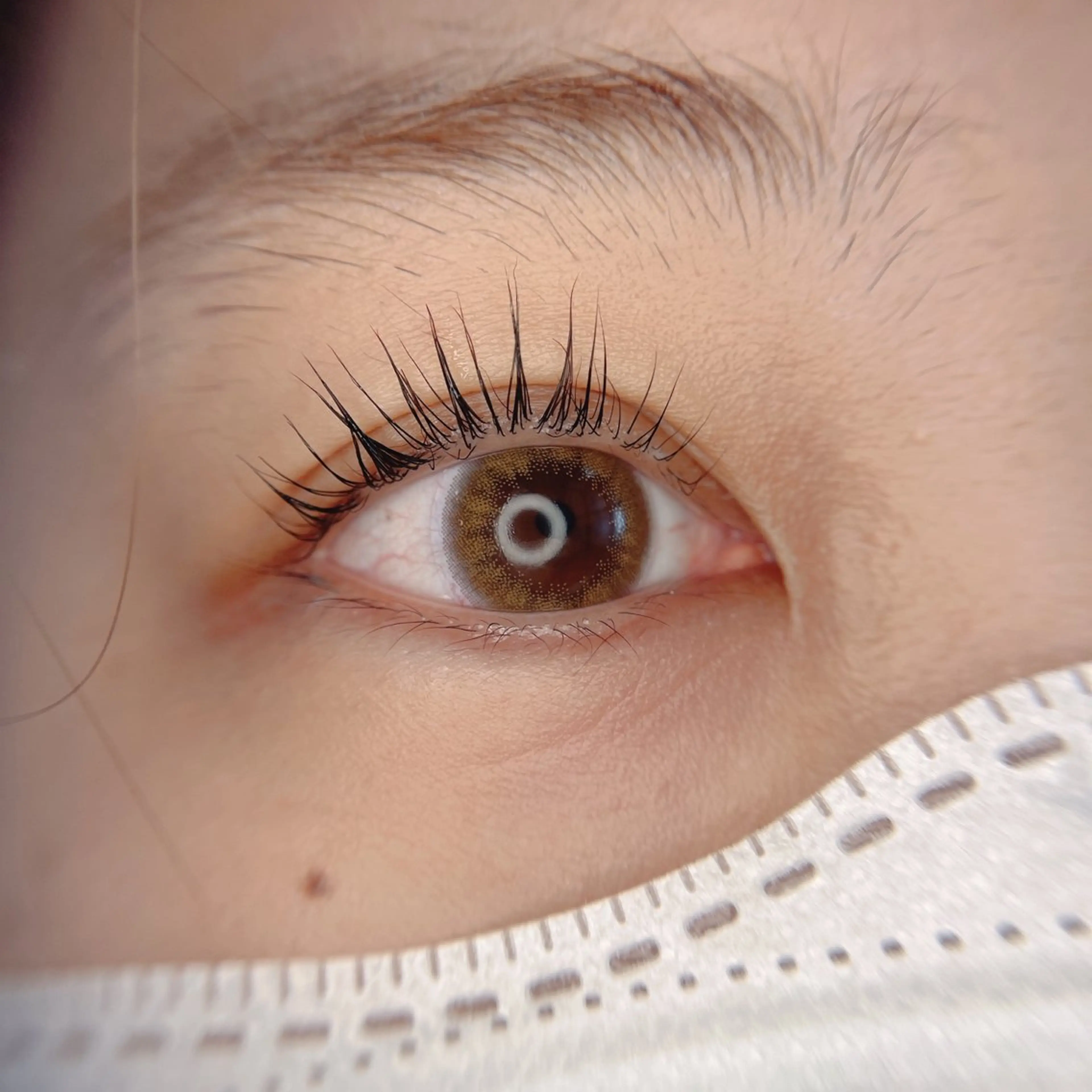 マツエク・マツパ Perl blueの眉毛・アイブロウイメージ