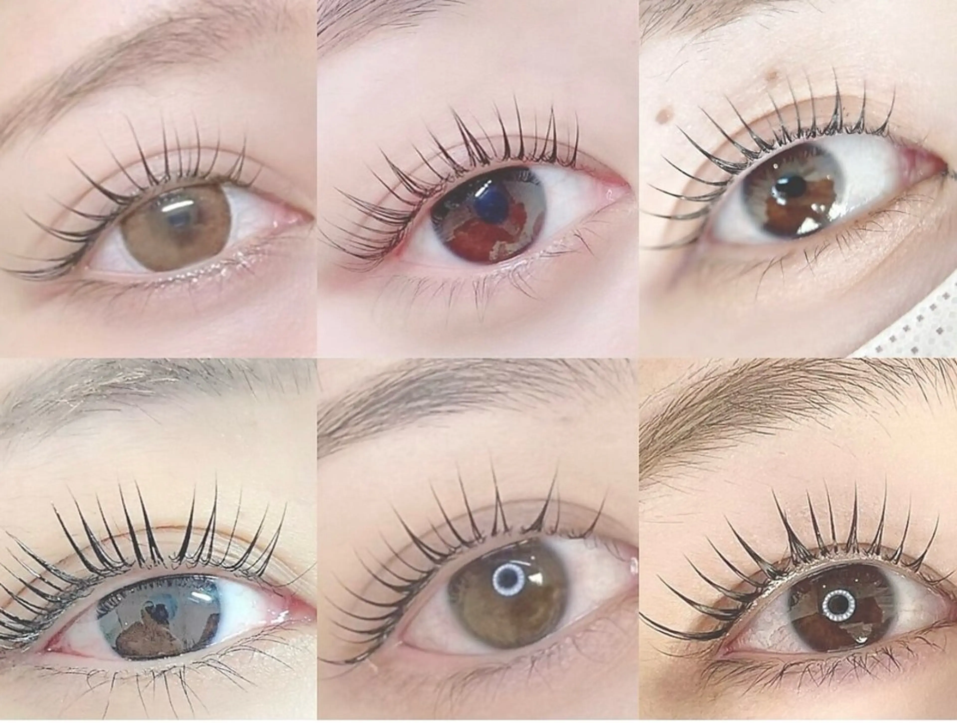 まつげパーマ（上）パリジェンヌラッシュ/似合わせパーマ選択可の写真