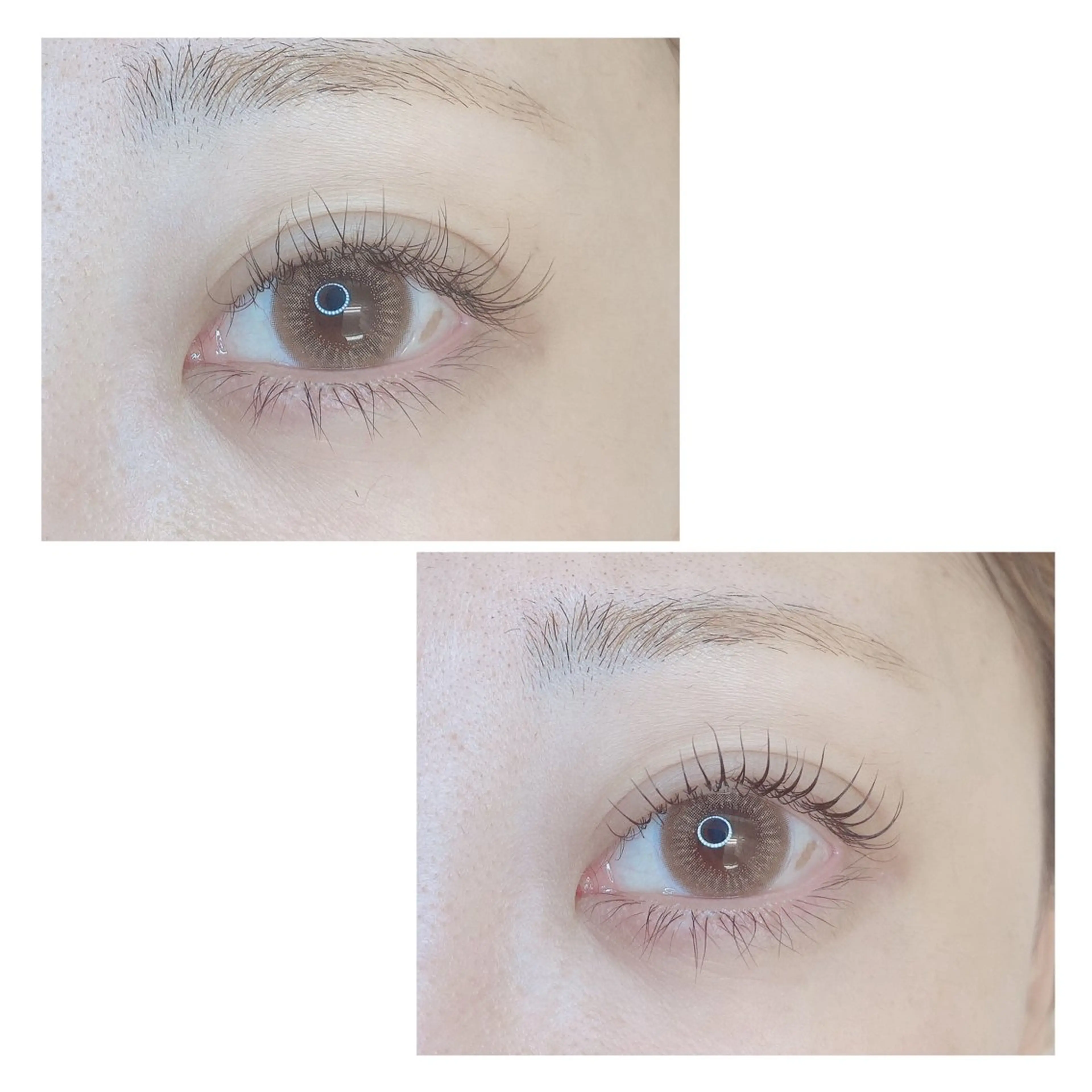 マツエク・マツパ TIARA池袋西口店 店長YASUKA💐のマツエク・マツパデザイン