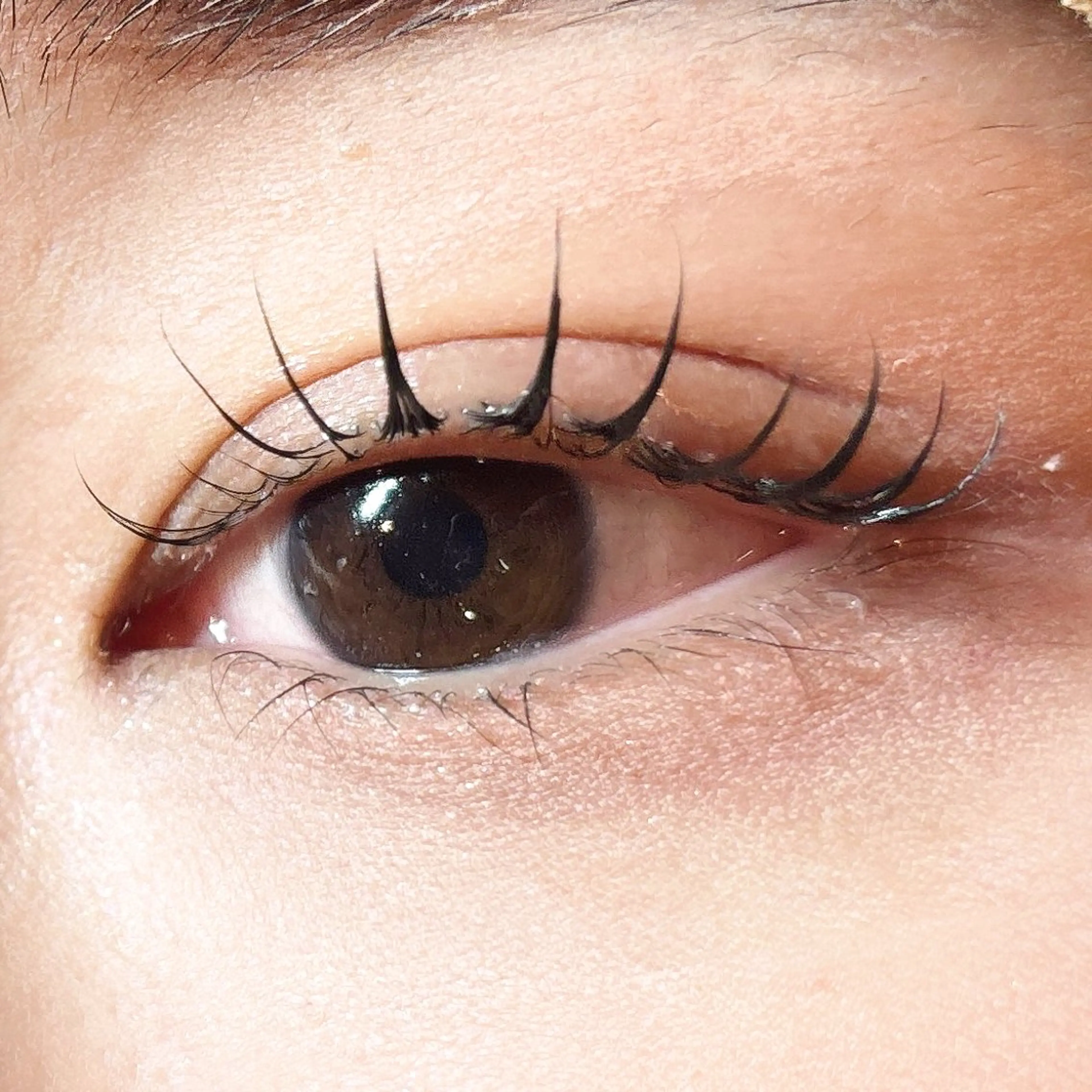 マツエク・マツパ naitre 🌼SHIORI🌼のマツエク・マツパデザイン