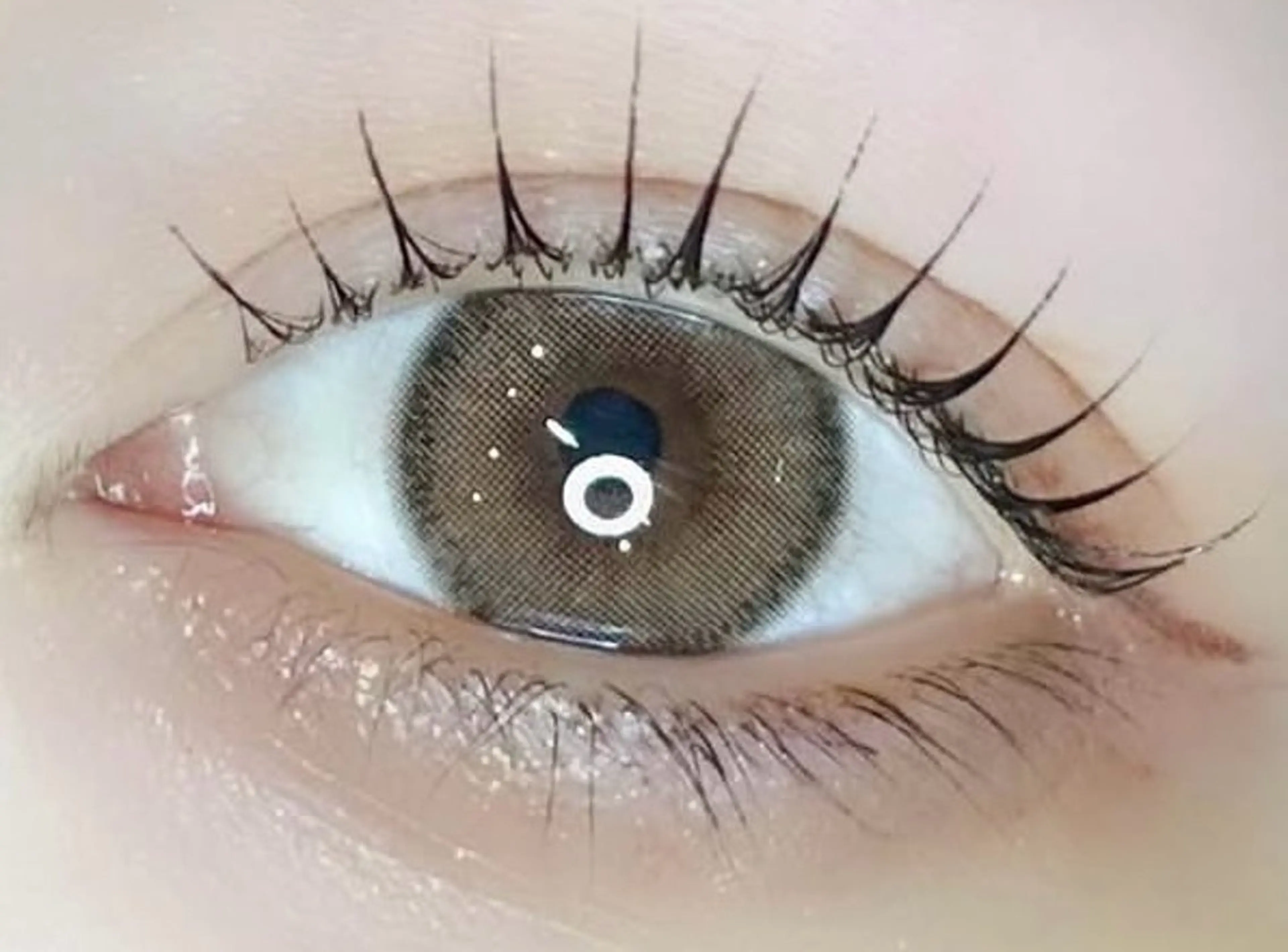 マツエク・マツパ Venus Beauty銀座のマツエク・マツパデザイン