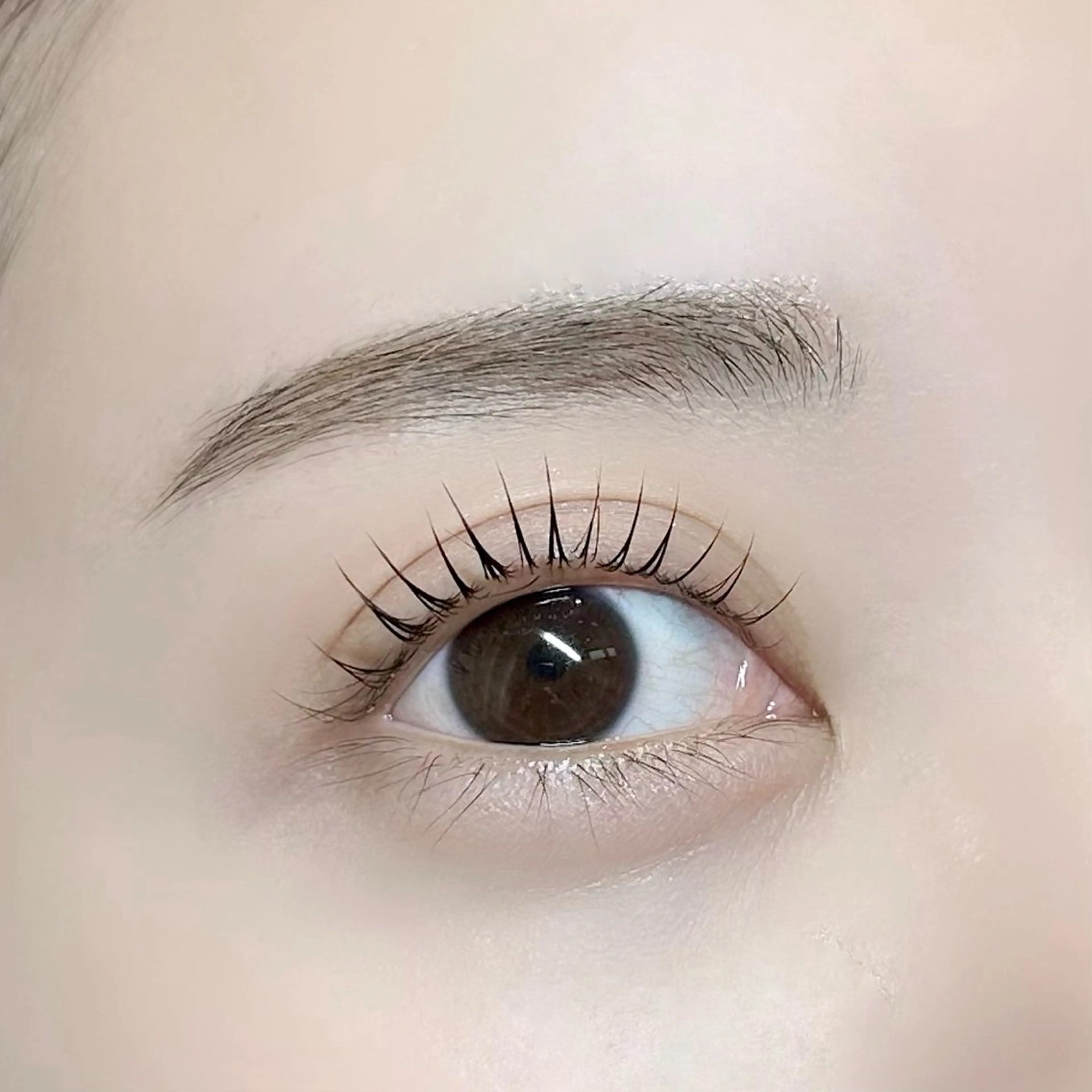 当日限定‼️まつ毛パーマ🎀の写真