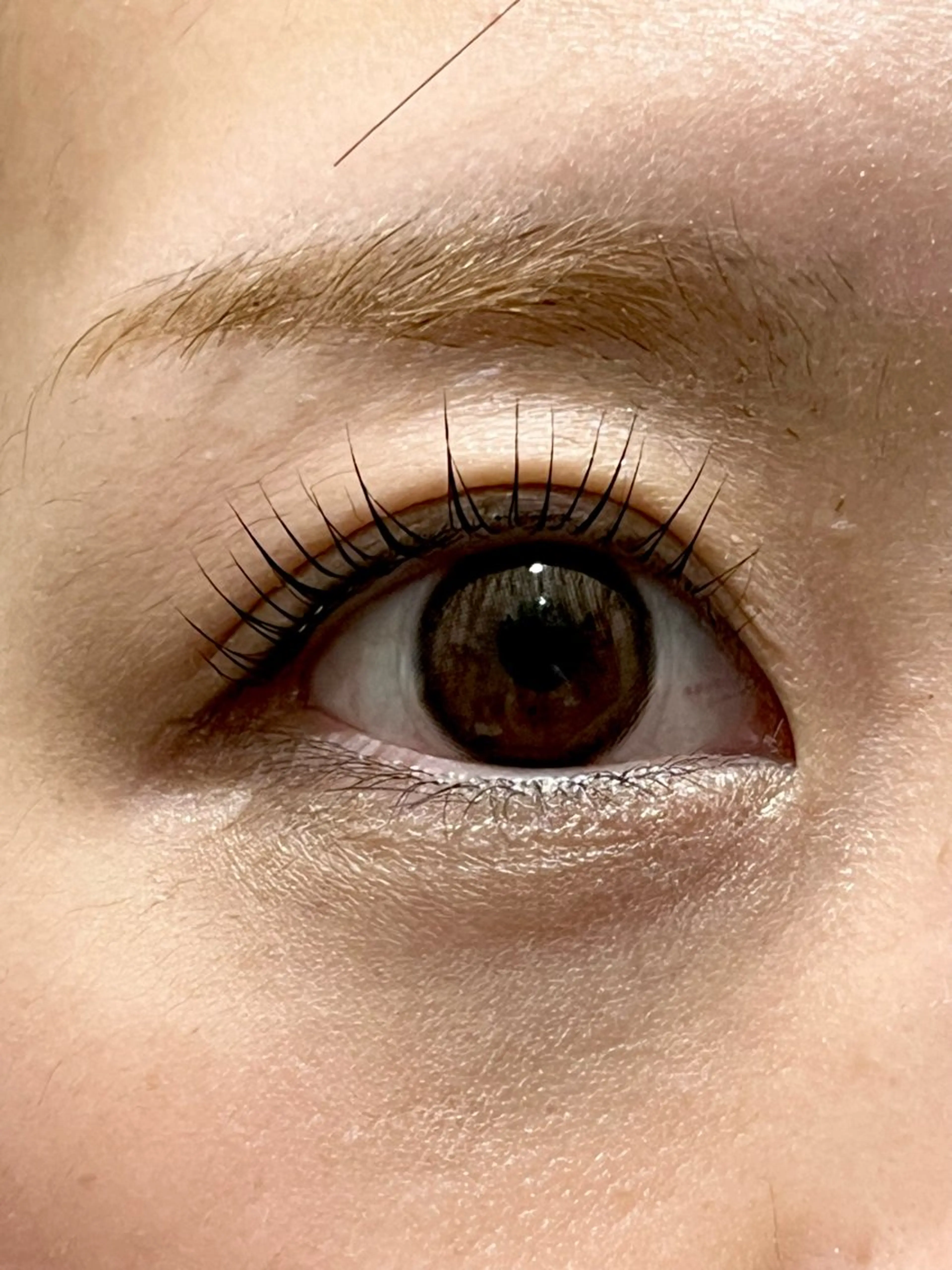 マツエク・マツパ マツパ 三澤 朱里の眉毛・アイブロウイメージ