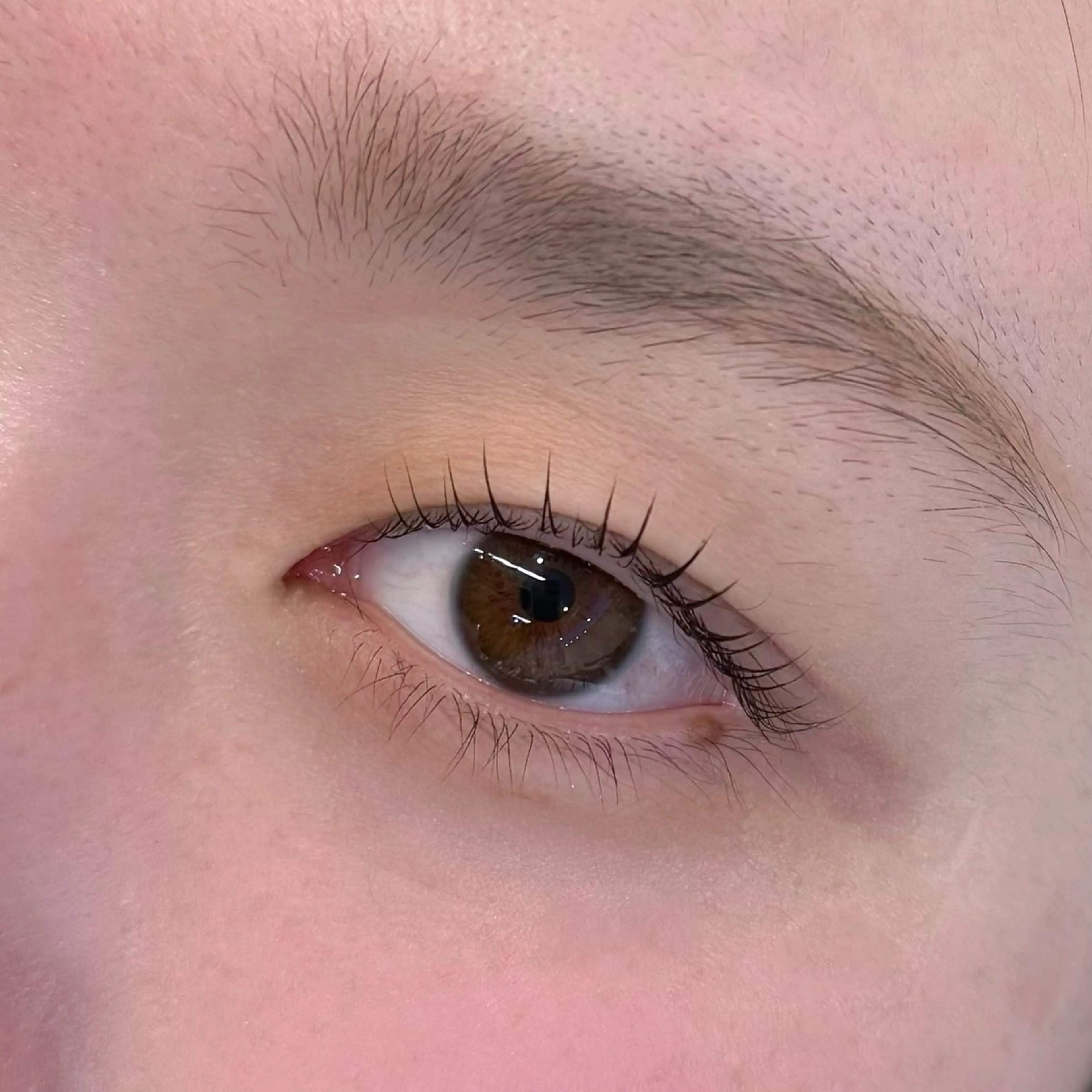 マツエク・マツパ Shino 🐈‍⬛🌙のマツエク・マツパデザイン