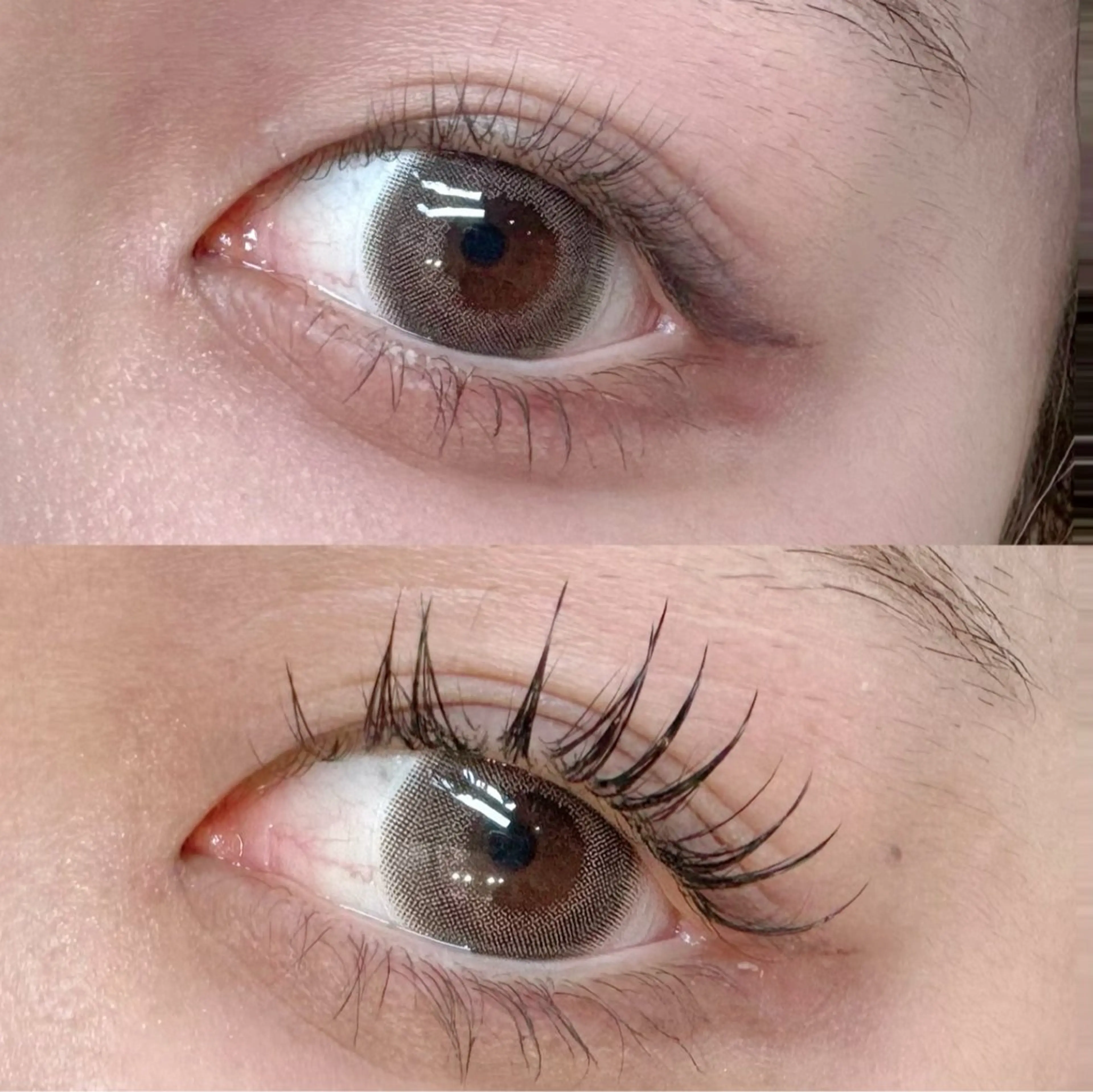 マツエク・マツパ フラットラッシュ パリジェンヌラッシュリフト who…🫧 YUKA🧸ིྀのマツエク・マツパデザイン