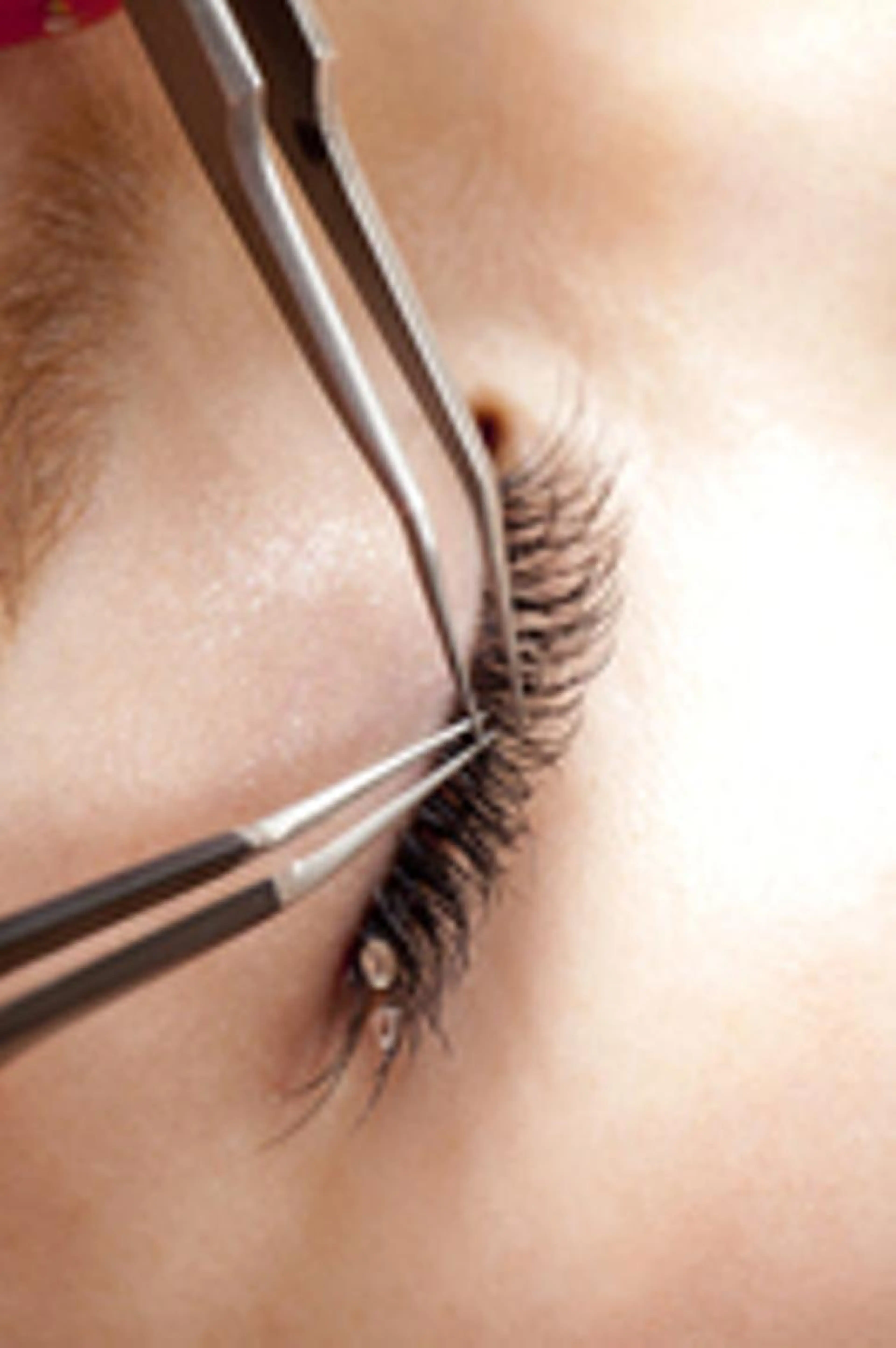 シングル高級セーブル140本の写真