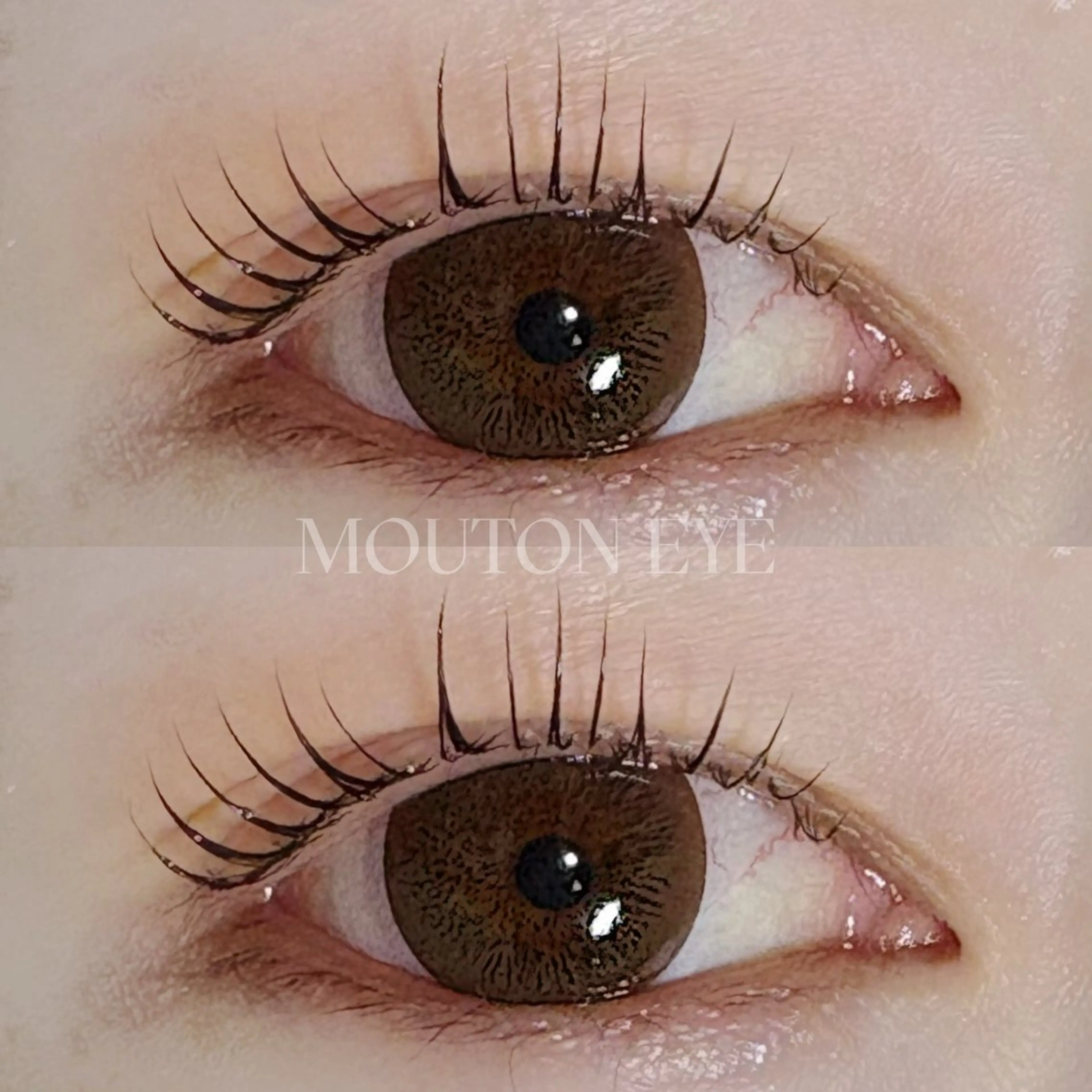 マツエク・マツパ mouton eye ウタカ🌻の眉毛・アイブロウイメージ