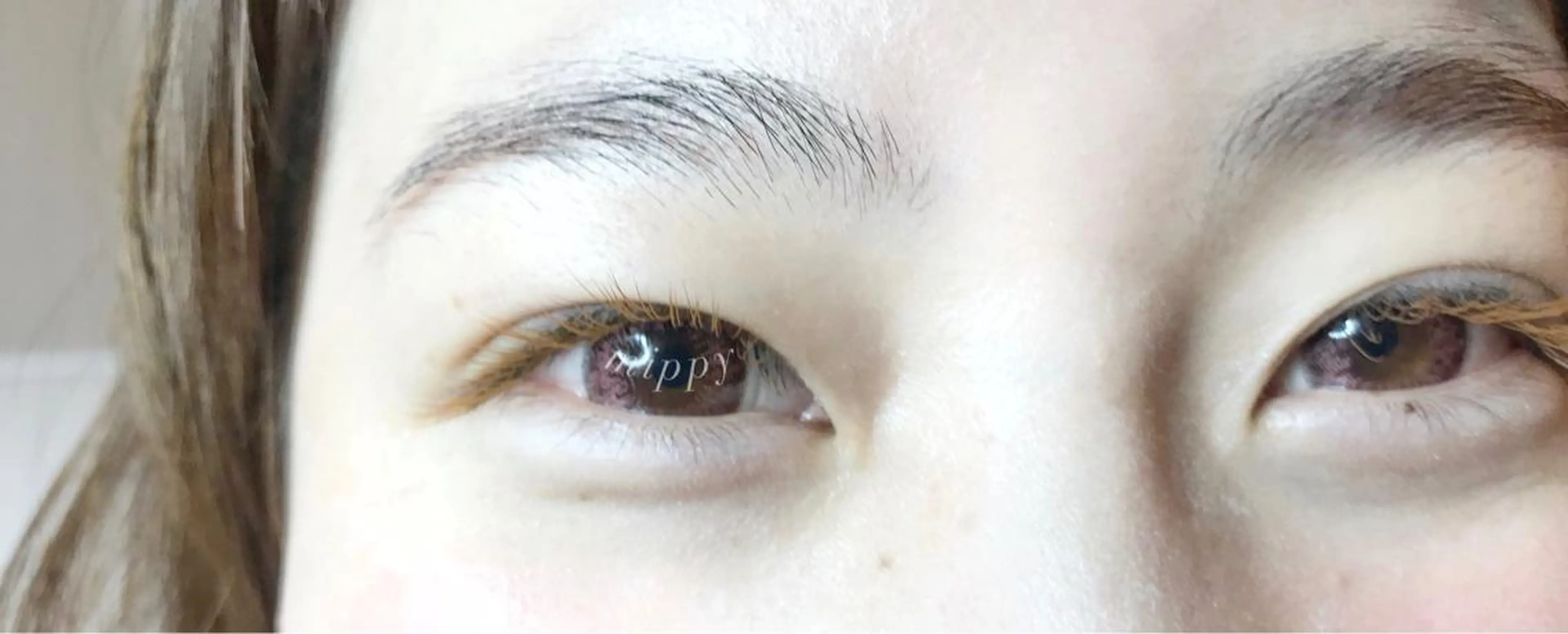 マツエク・マツパ ｍｉｐｐｙ 🪽のマツエク・マツパデザイン