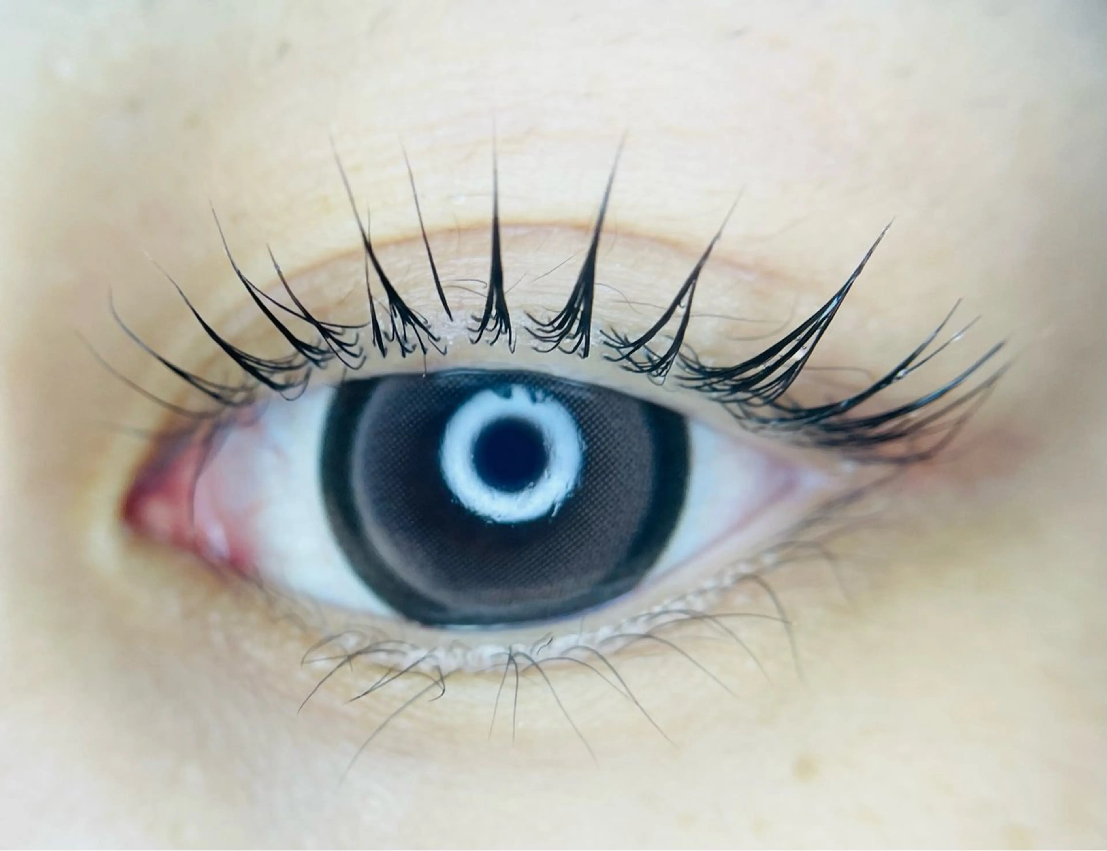 マツエク・マツパ L🎀リアン サロンのマツエク・マツパデザイン