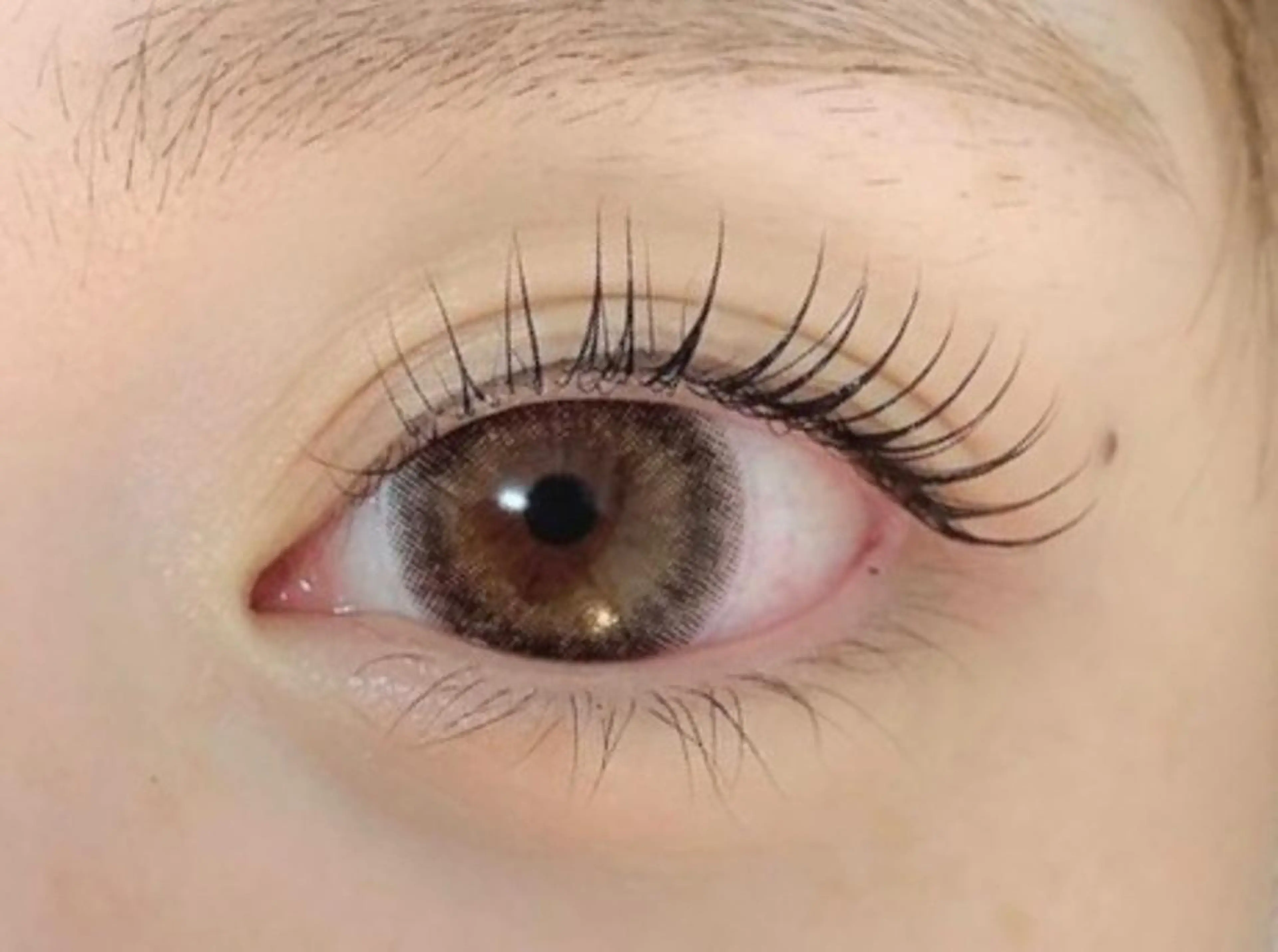 ダメージレスまつげパーマの写真