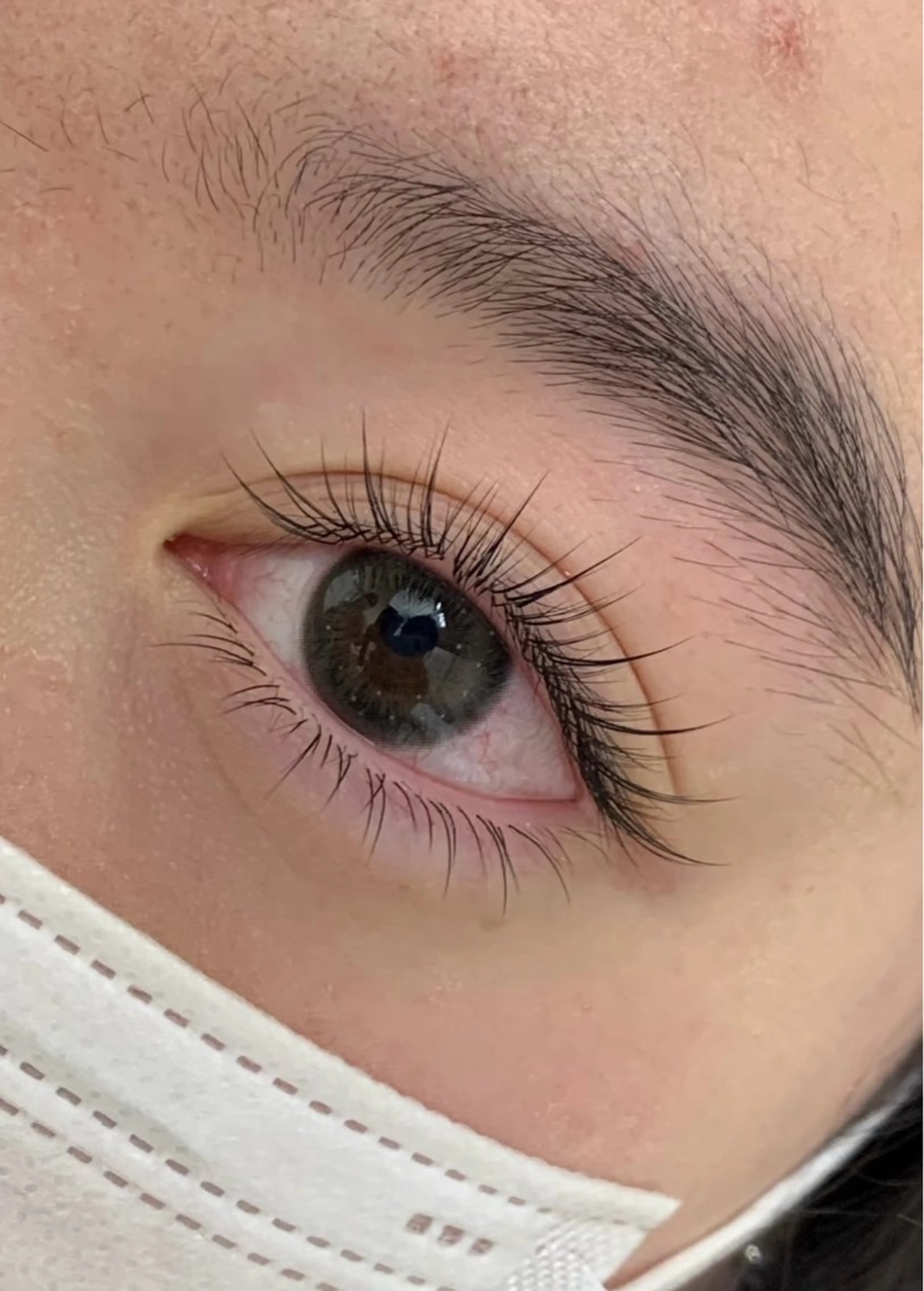 (マツエク)LED LCカールフラットラッシュ120本 コーティング付きの写真