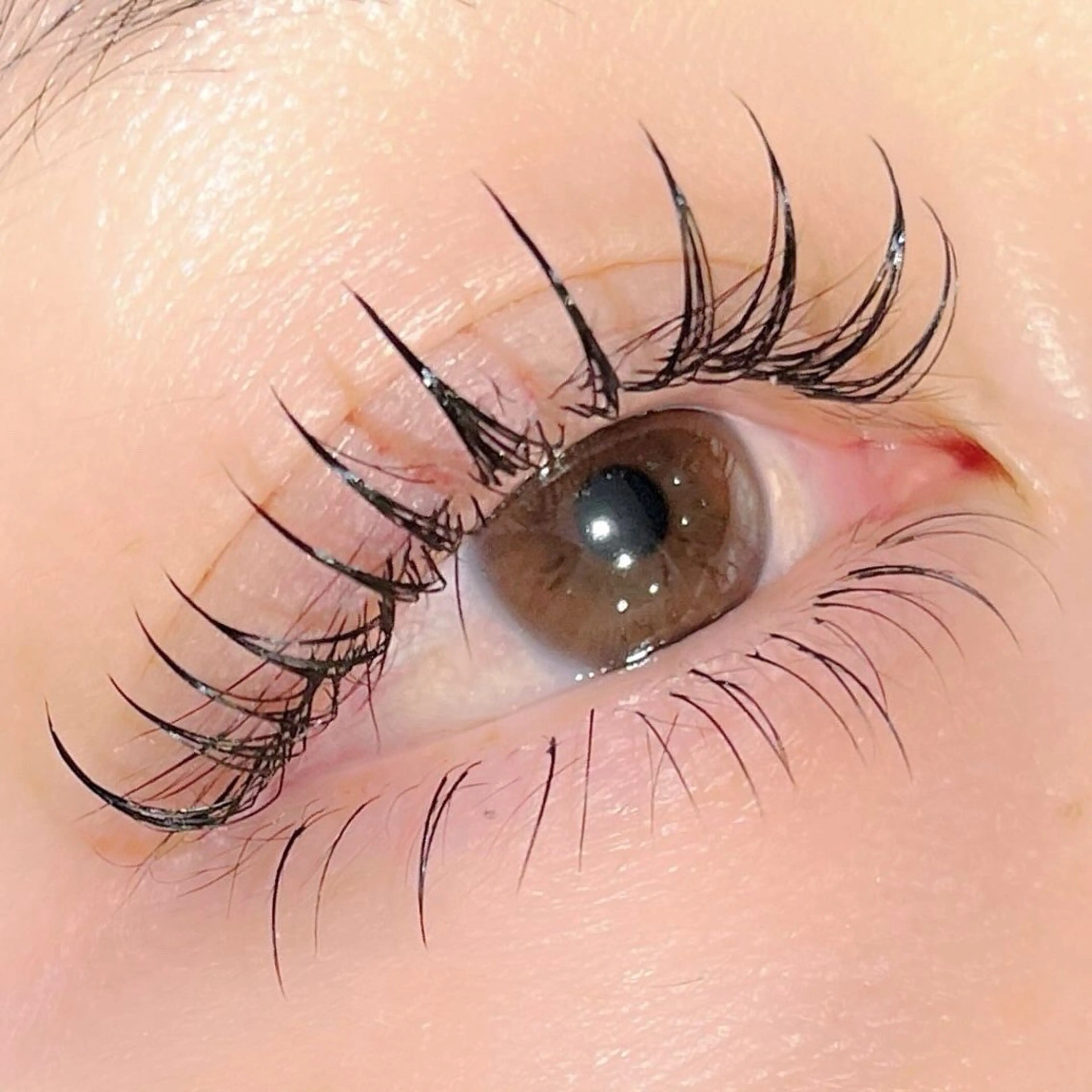 マツエク・マツパ LeCoeur古正寺 井伊彩圭のマツエク・マツパデザイン