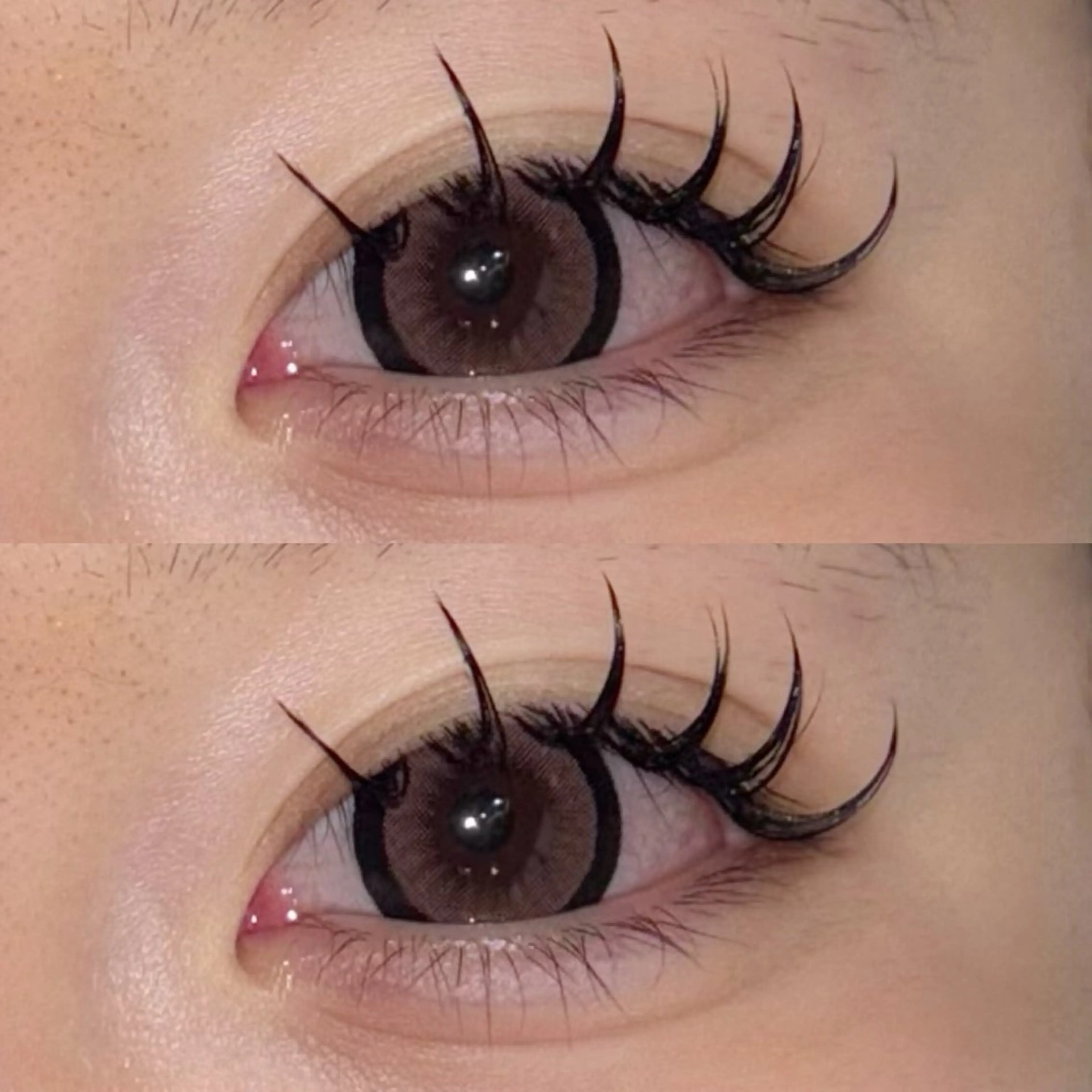 🌻オフ込み🌻【フラットラッシュ150本】の写真