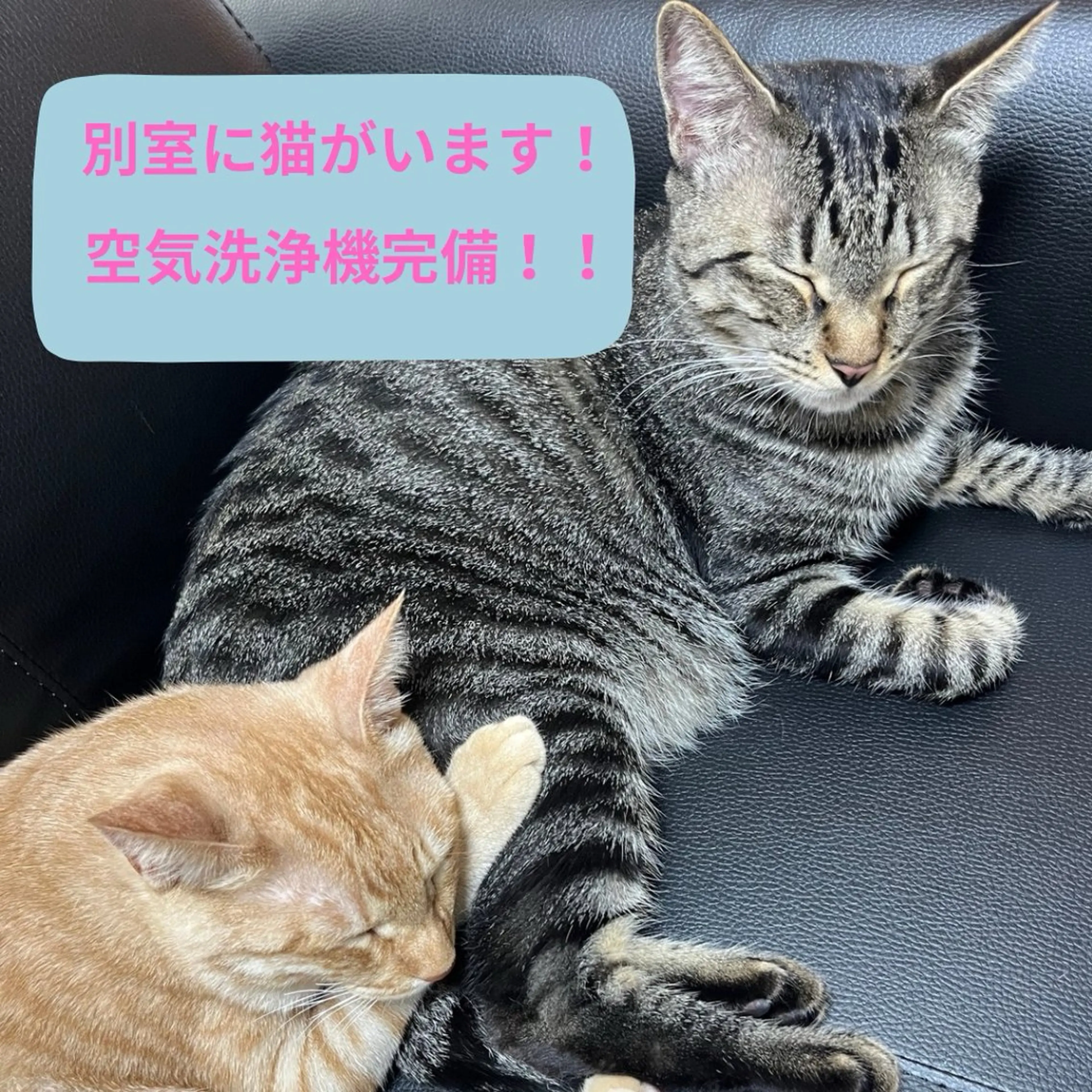 エステティックサロン アトリエ　ホミィのエステ・リラクイメージ