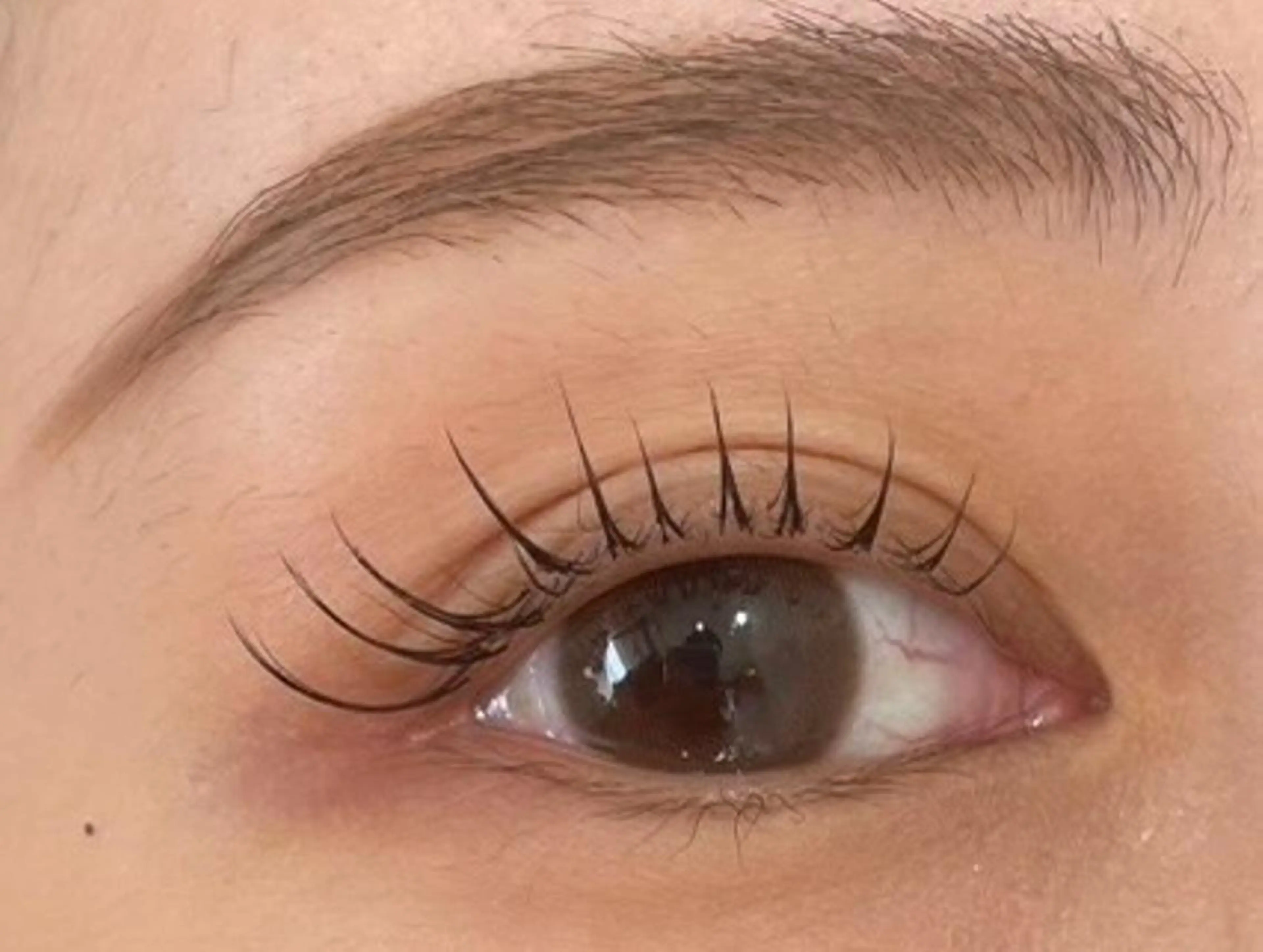 目を大きく見せたい方🤍マツパ＋目尻マツエク(30本まで)の写真