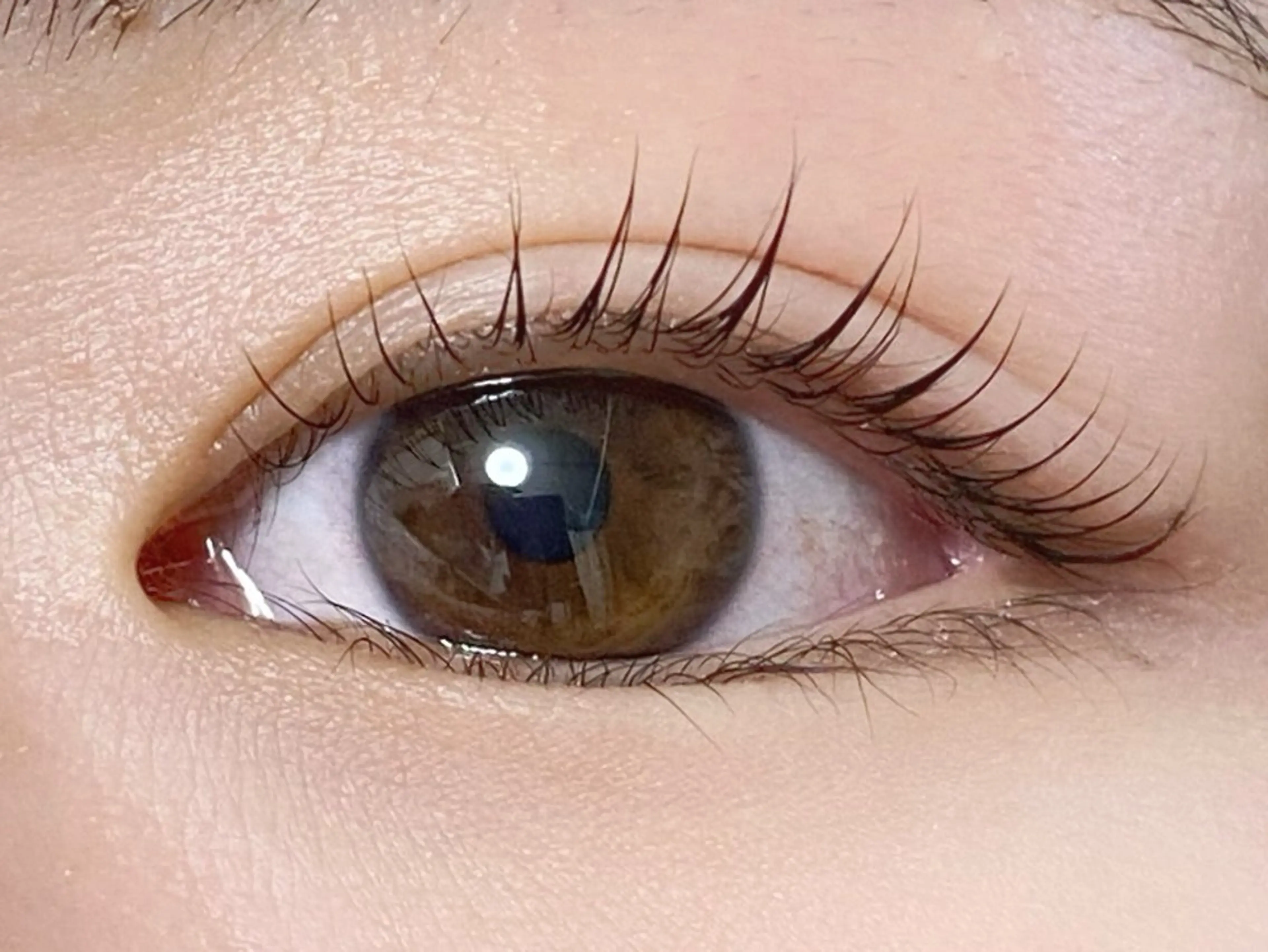 似合わせまつ毛パーマ　プレミアムラッシュリフト（アイシャンプー/アイパック/トリートメント付き）の写真