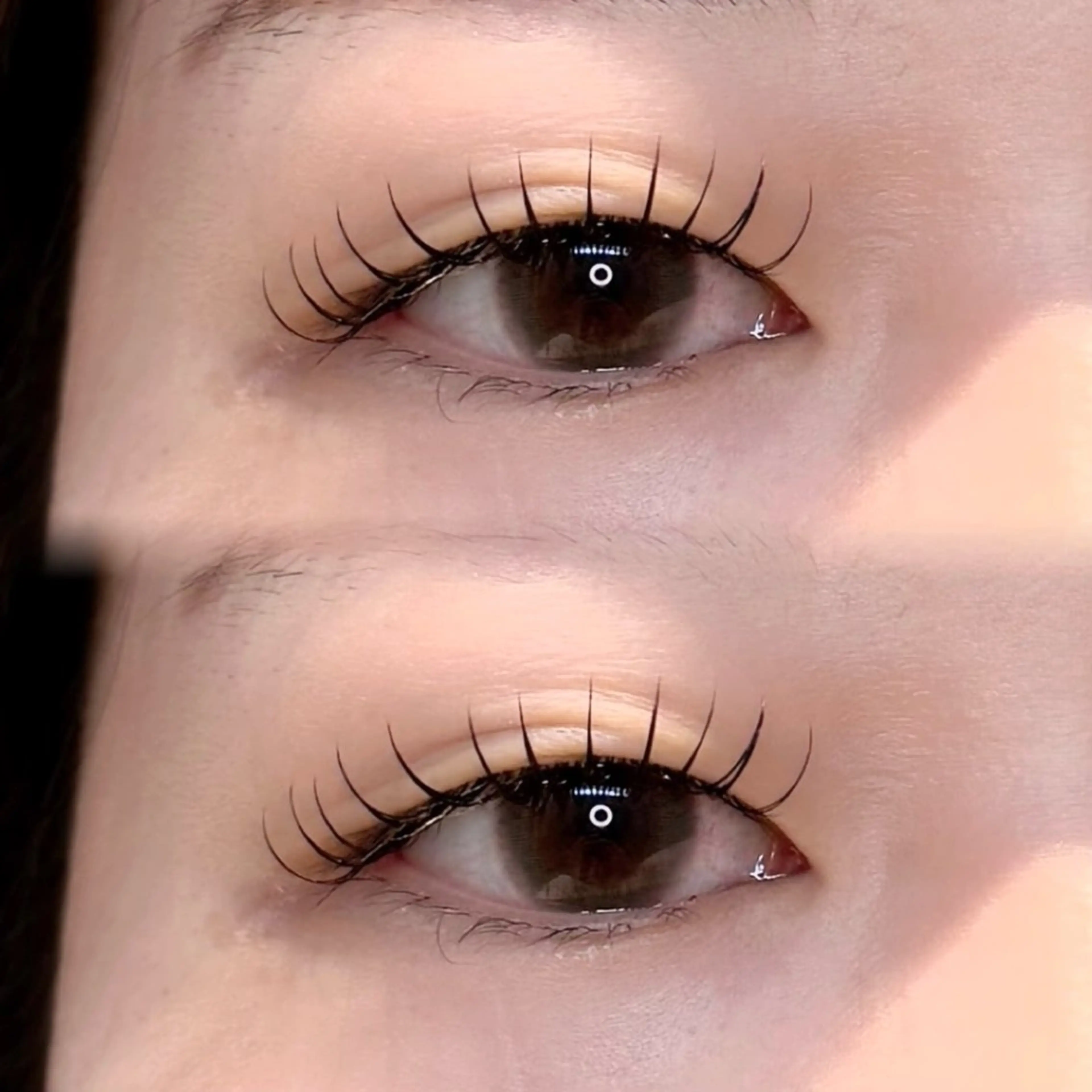 マツエク・マツパ Dカール フラットラッシュ Lowen 野原のマツエク・マツパデザイン