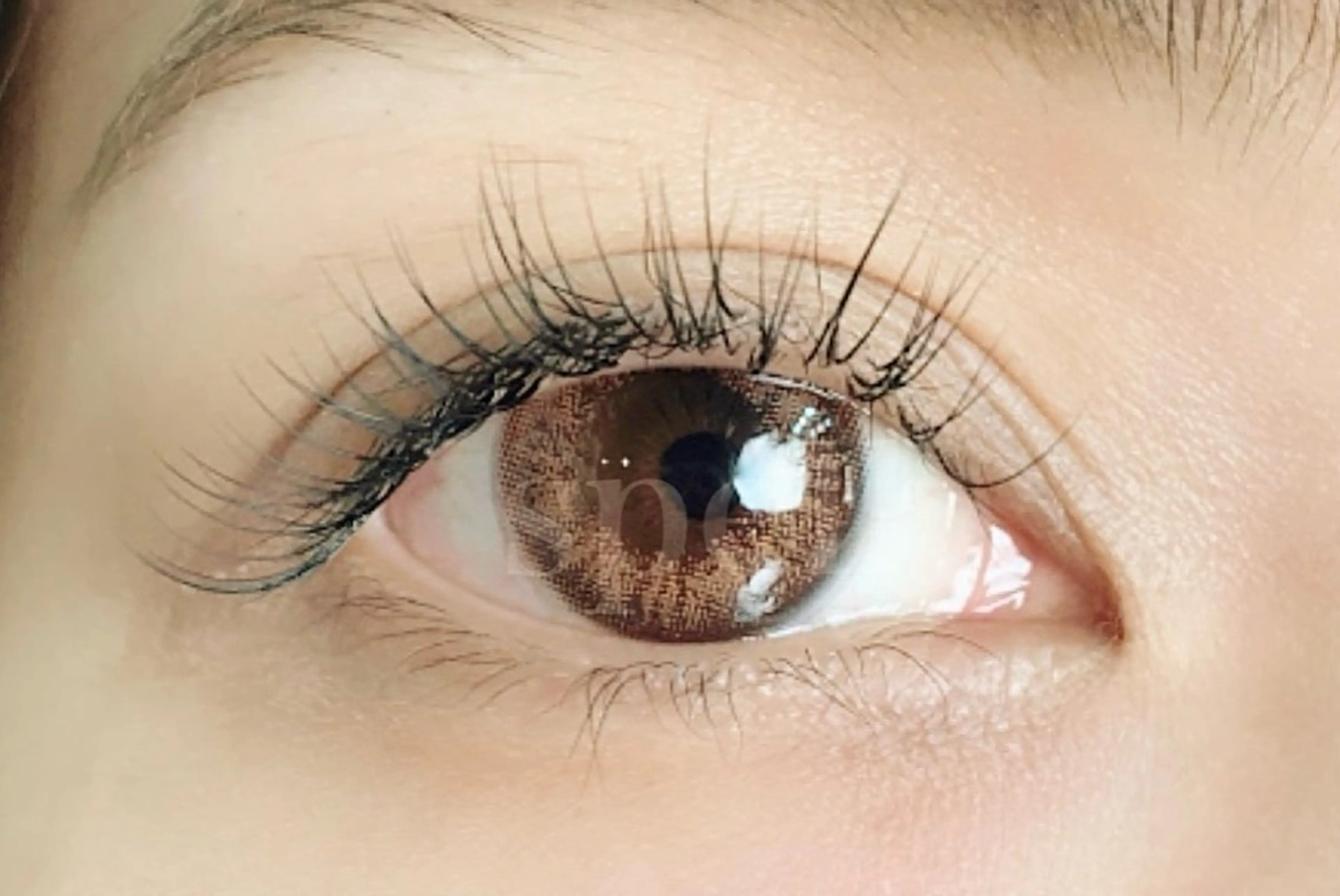 マツエク・マツパ spell eyelashのマツエク・マツパデザイン