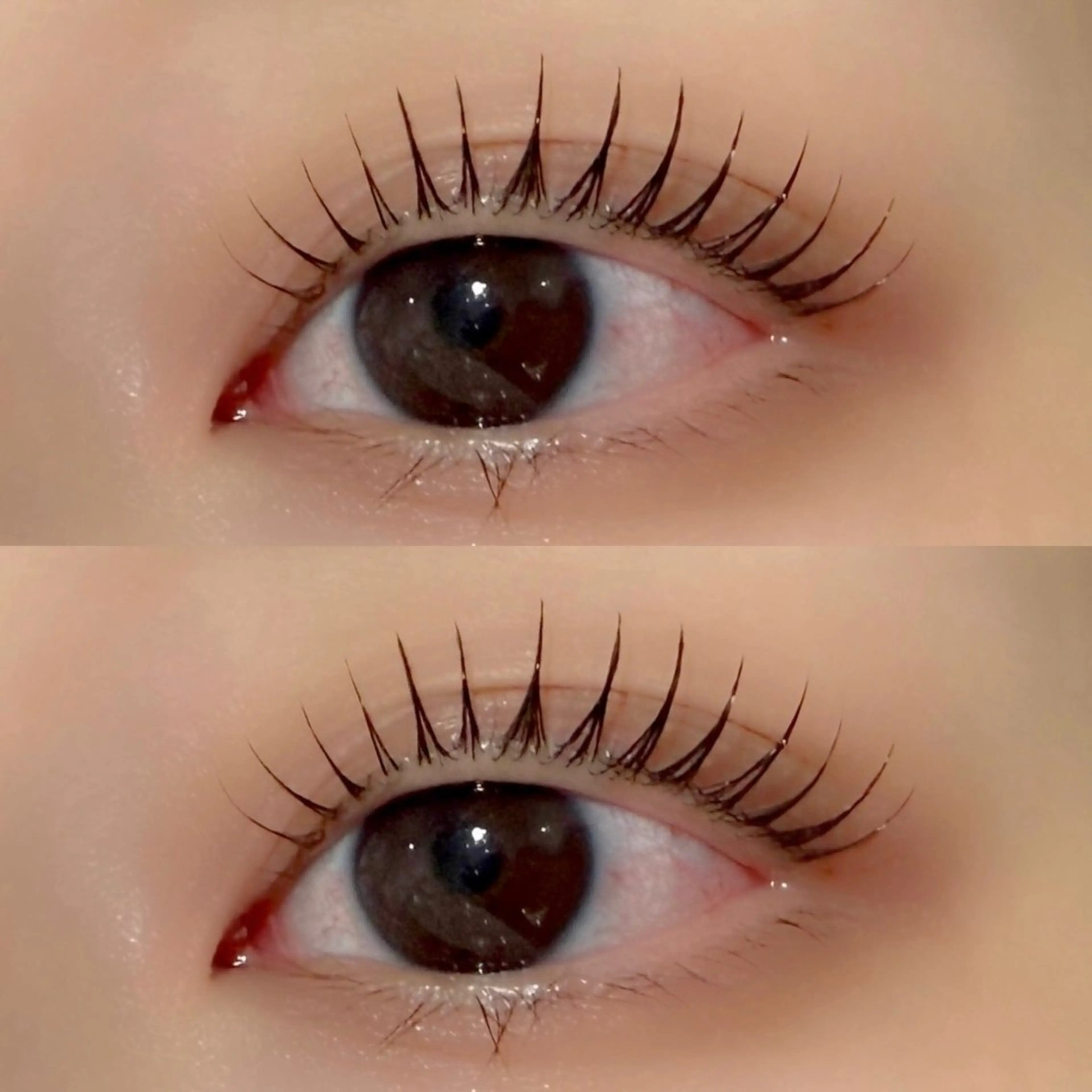 マツエク・マツパ マツパ 京橋🦋LEDマツエ ク&まつ毛パーマのマツエク・マツパデザイン