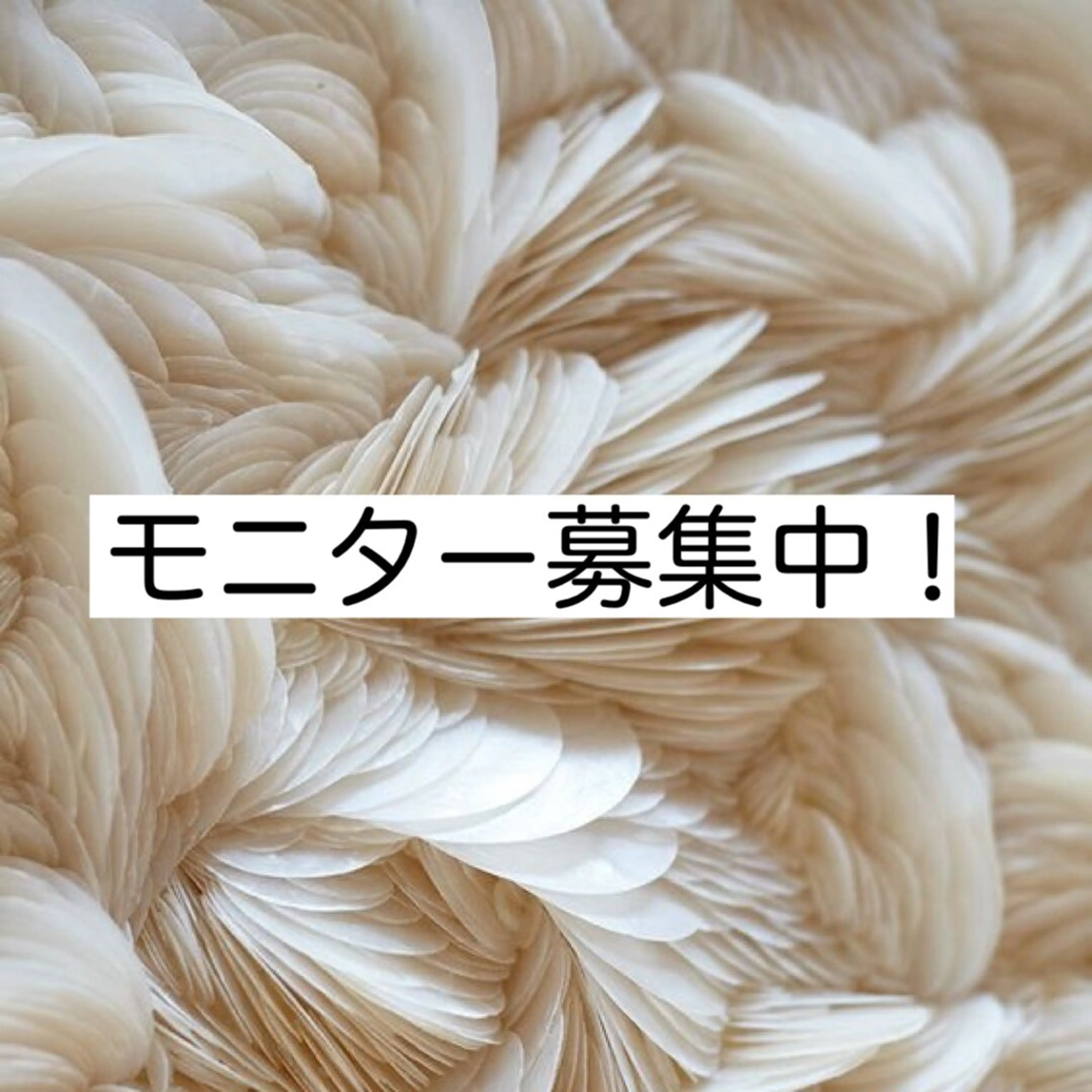 a laise 斉藤(表参道)のエステ・リラクイメージ