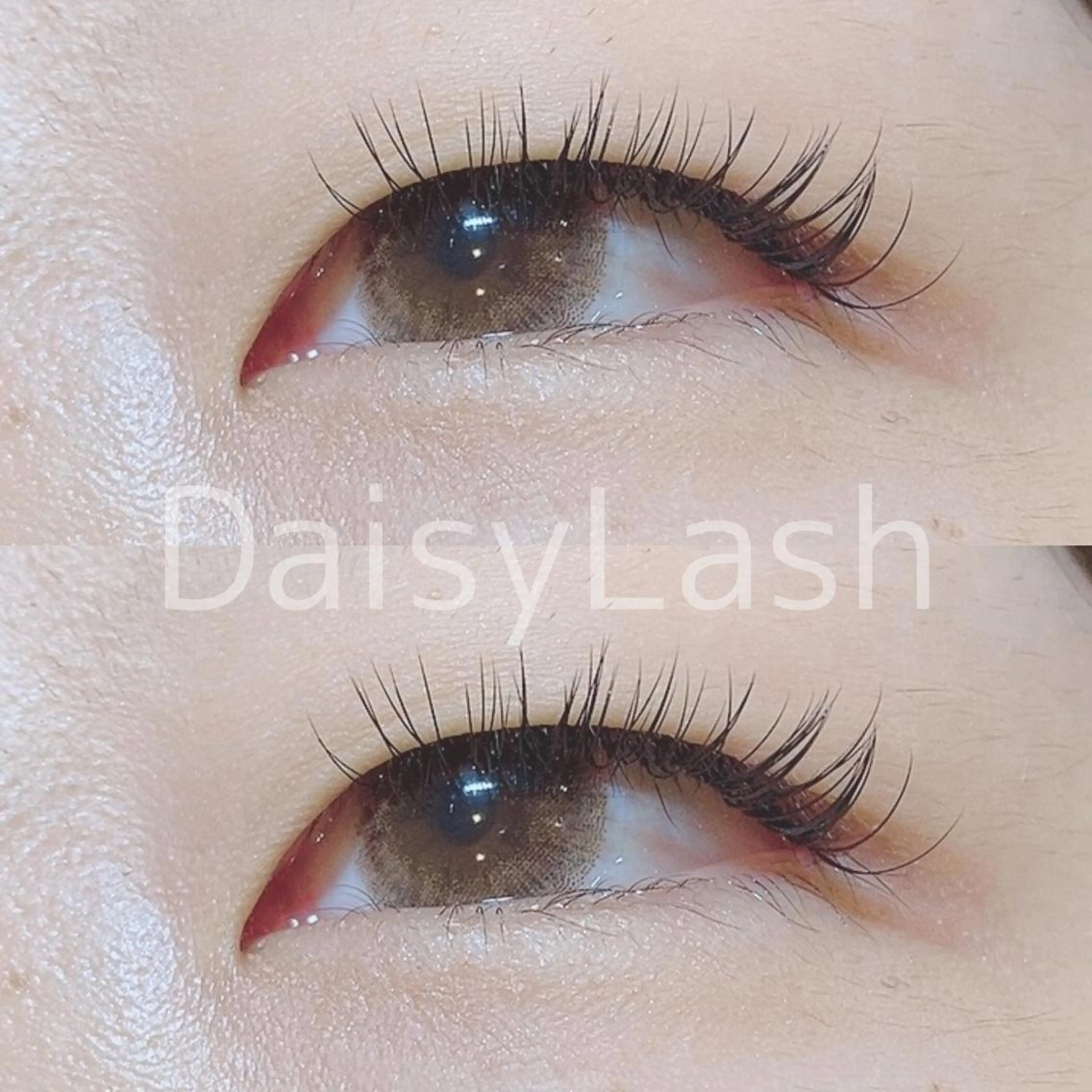 マツエク・マツパ DaisyLash 京橋店のマツエク・マツパデザイン